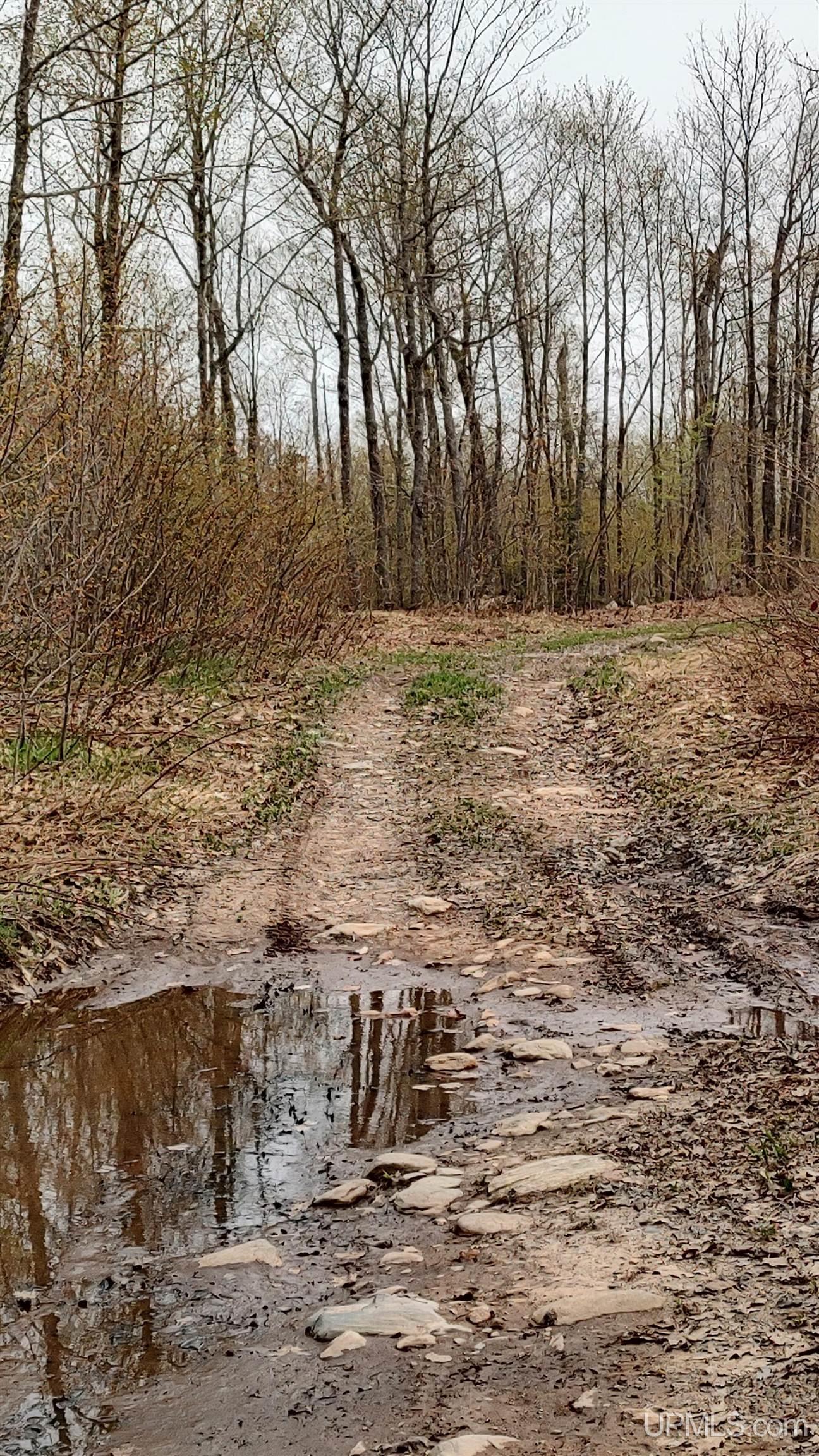 main property photo 50