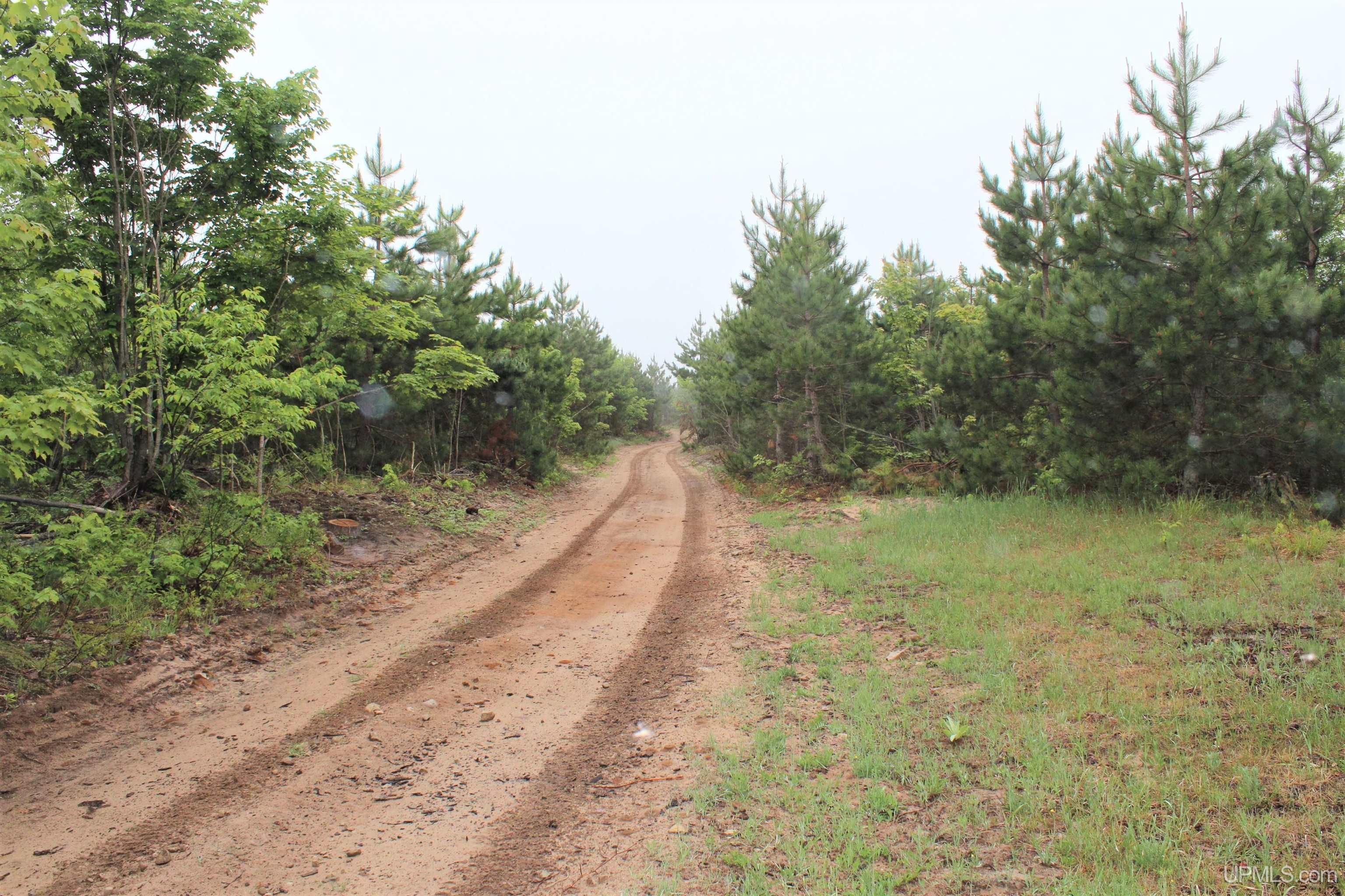 main property photo 7