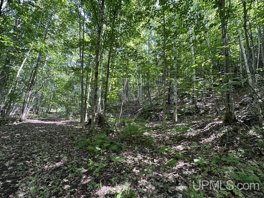 main property photo 24