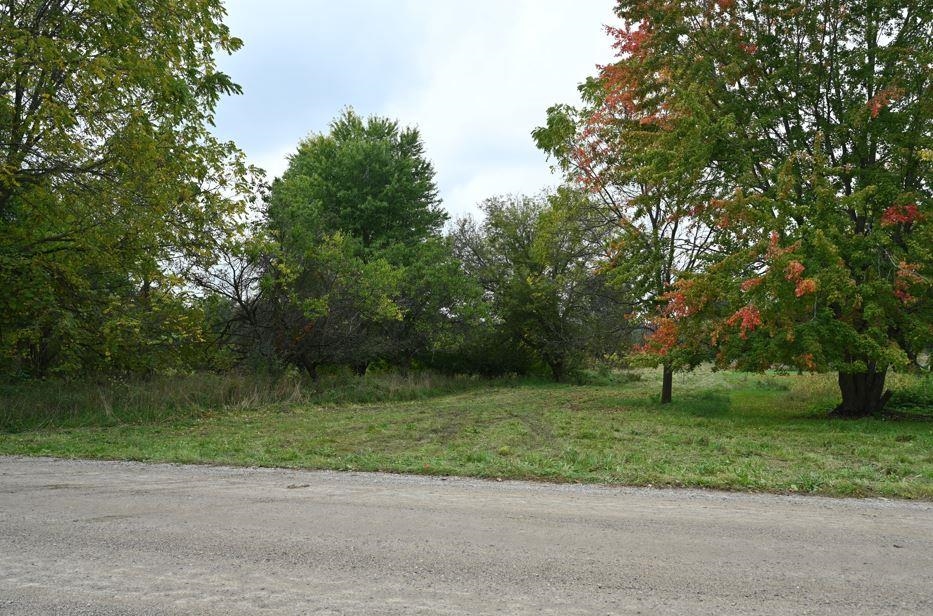 main property photo 6