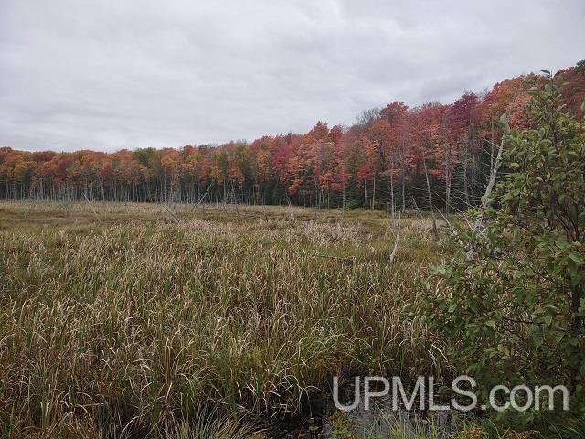 main property photo 53