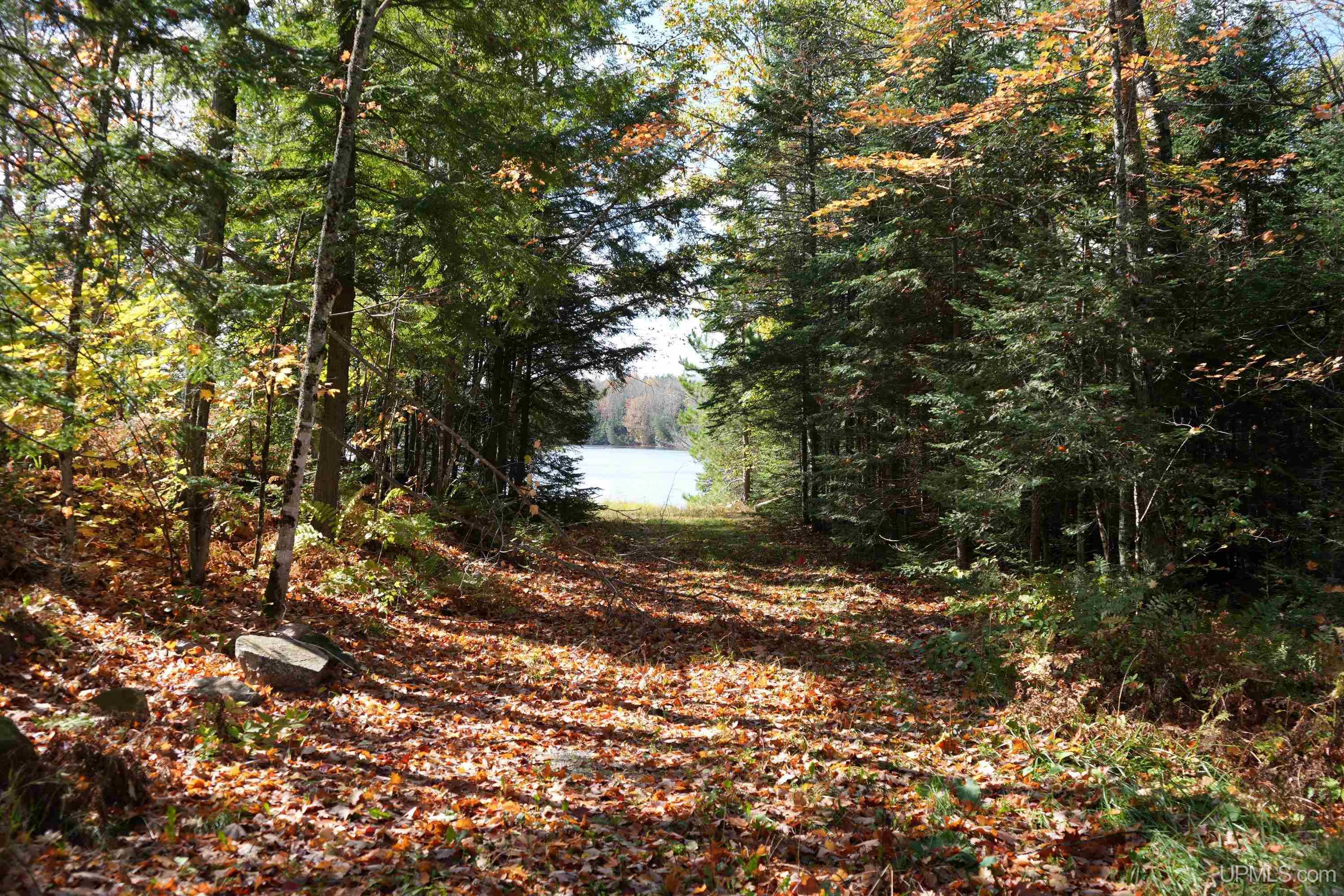 main property photo 56