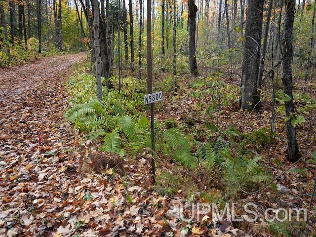 main property photo 57