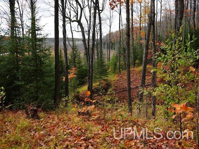 main property photo 58