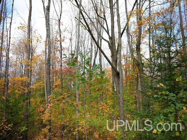 main property photo 62