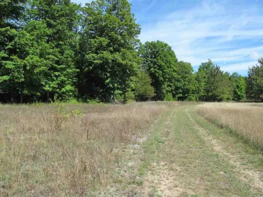 main property photo 12