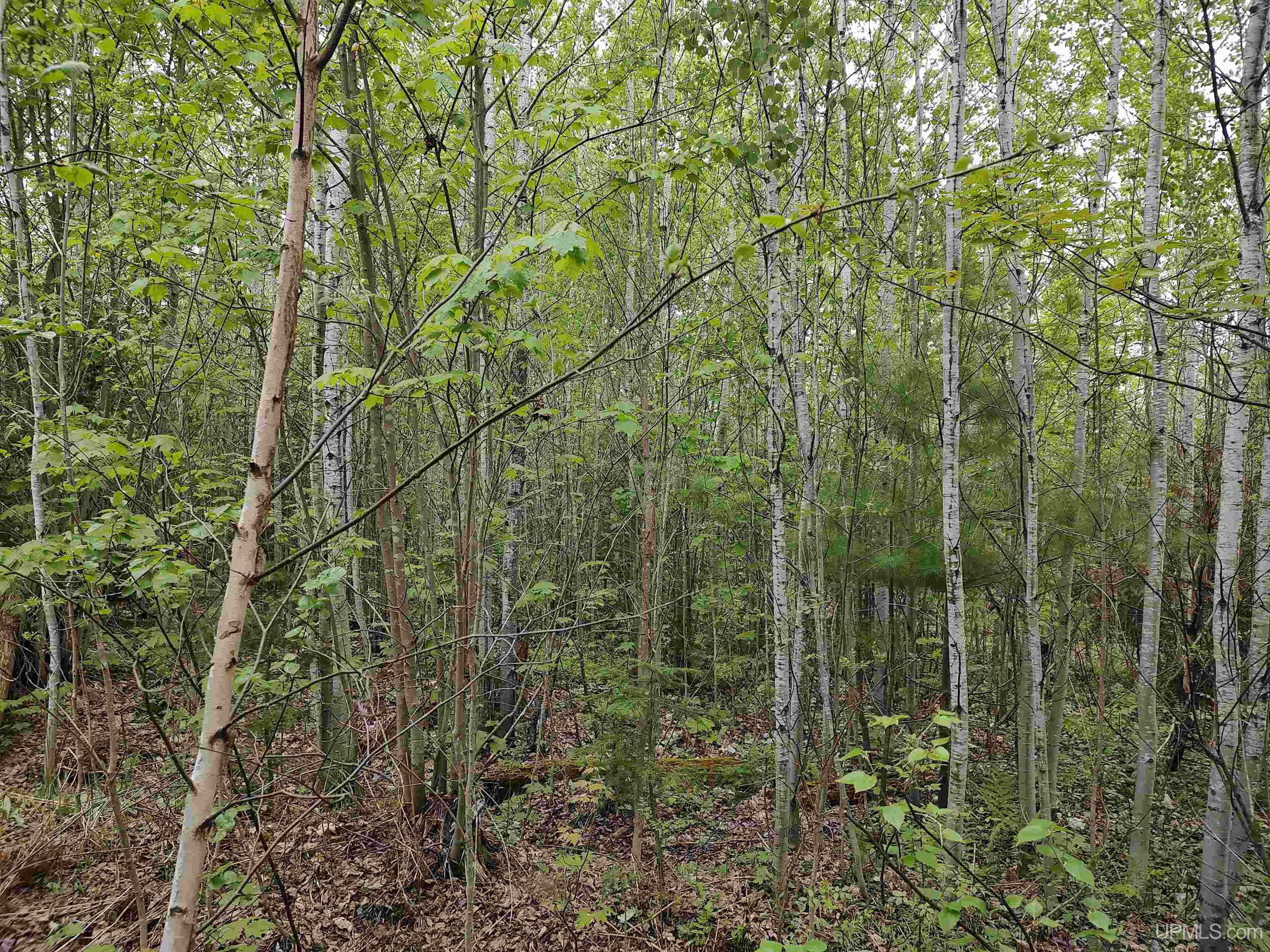 main property photo 27
