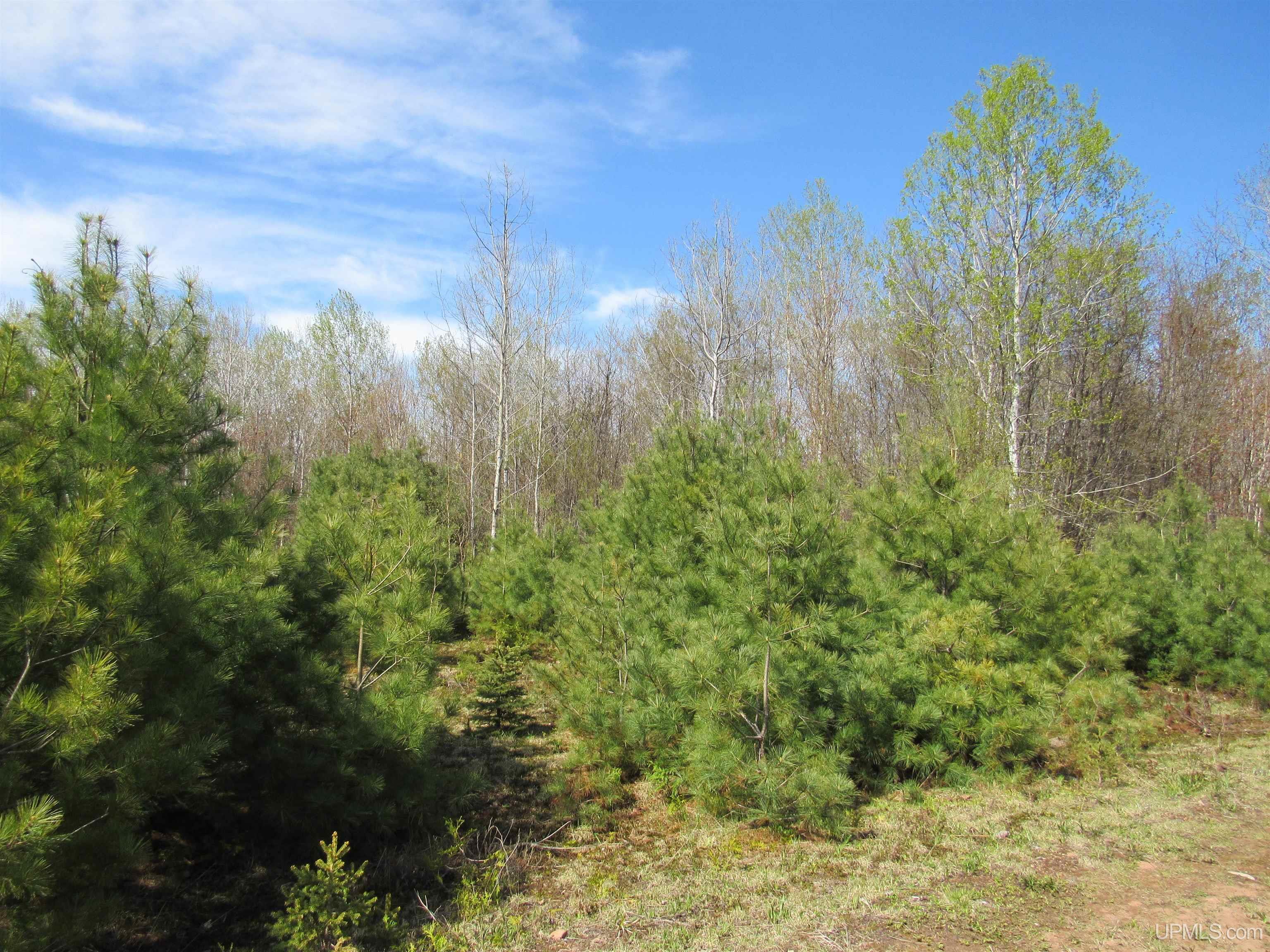 main property photo 26
