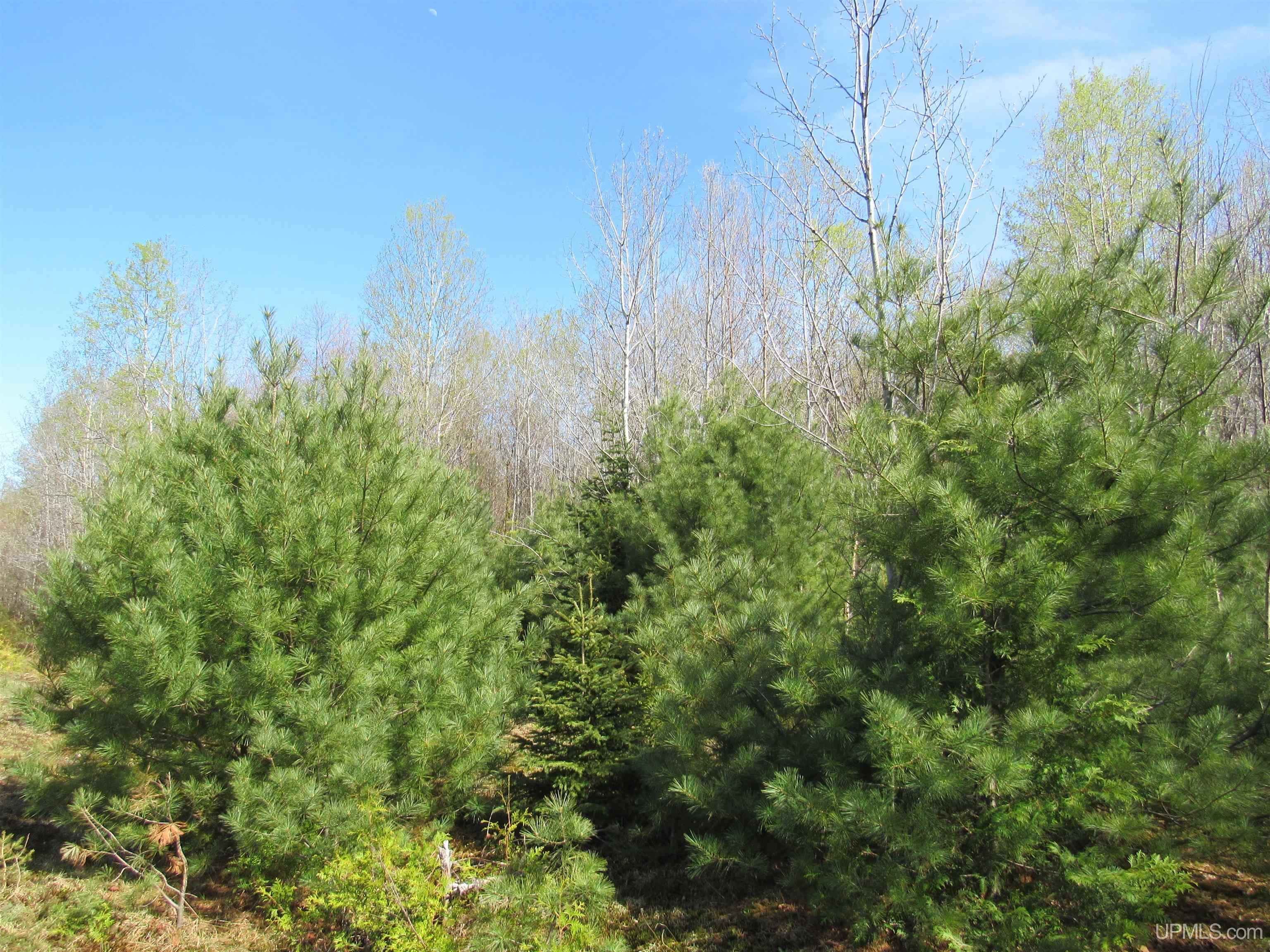 main property photo 27