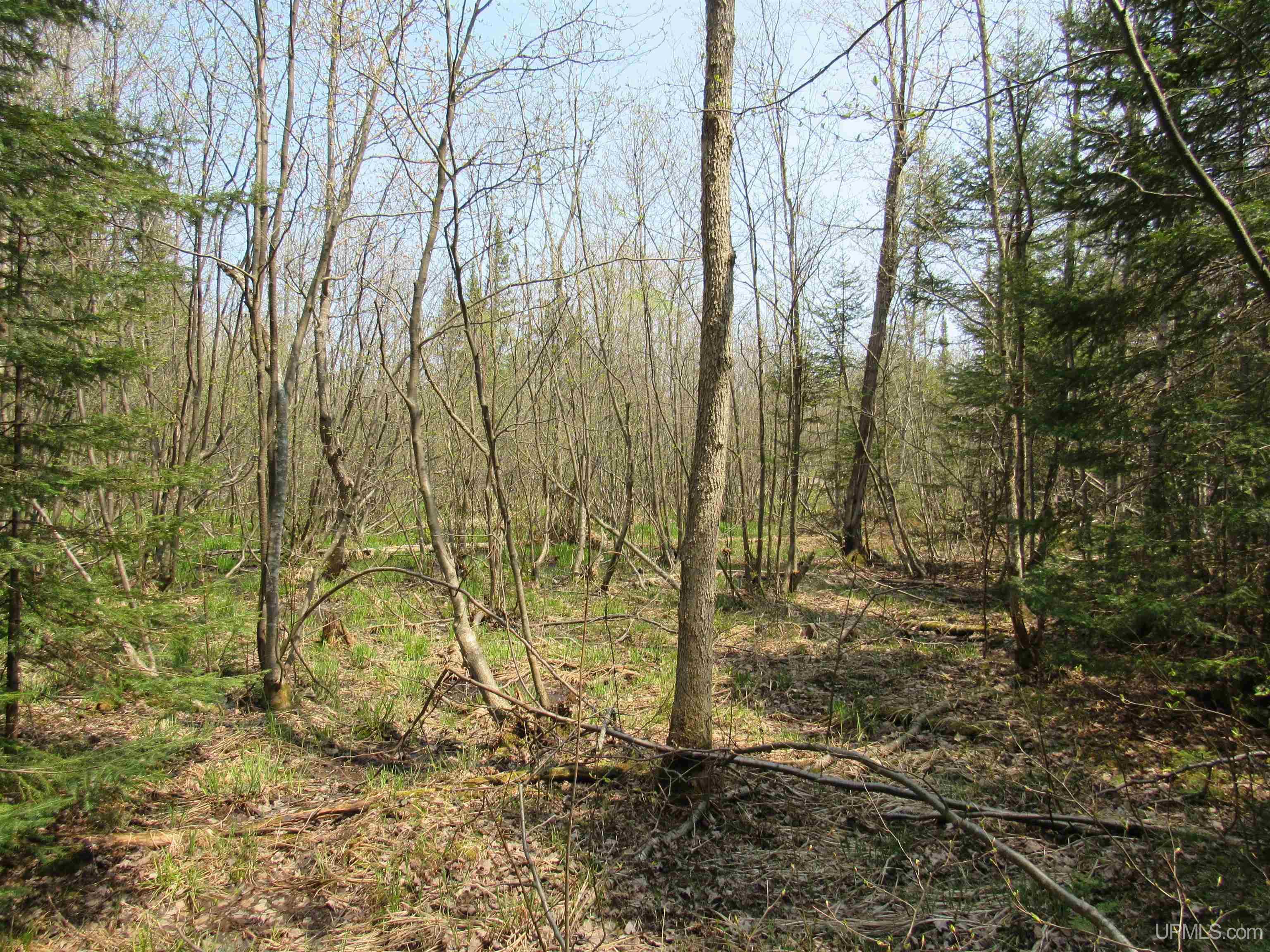 main property photo 13