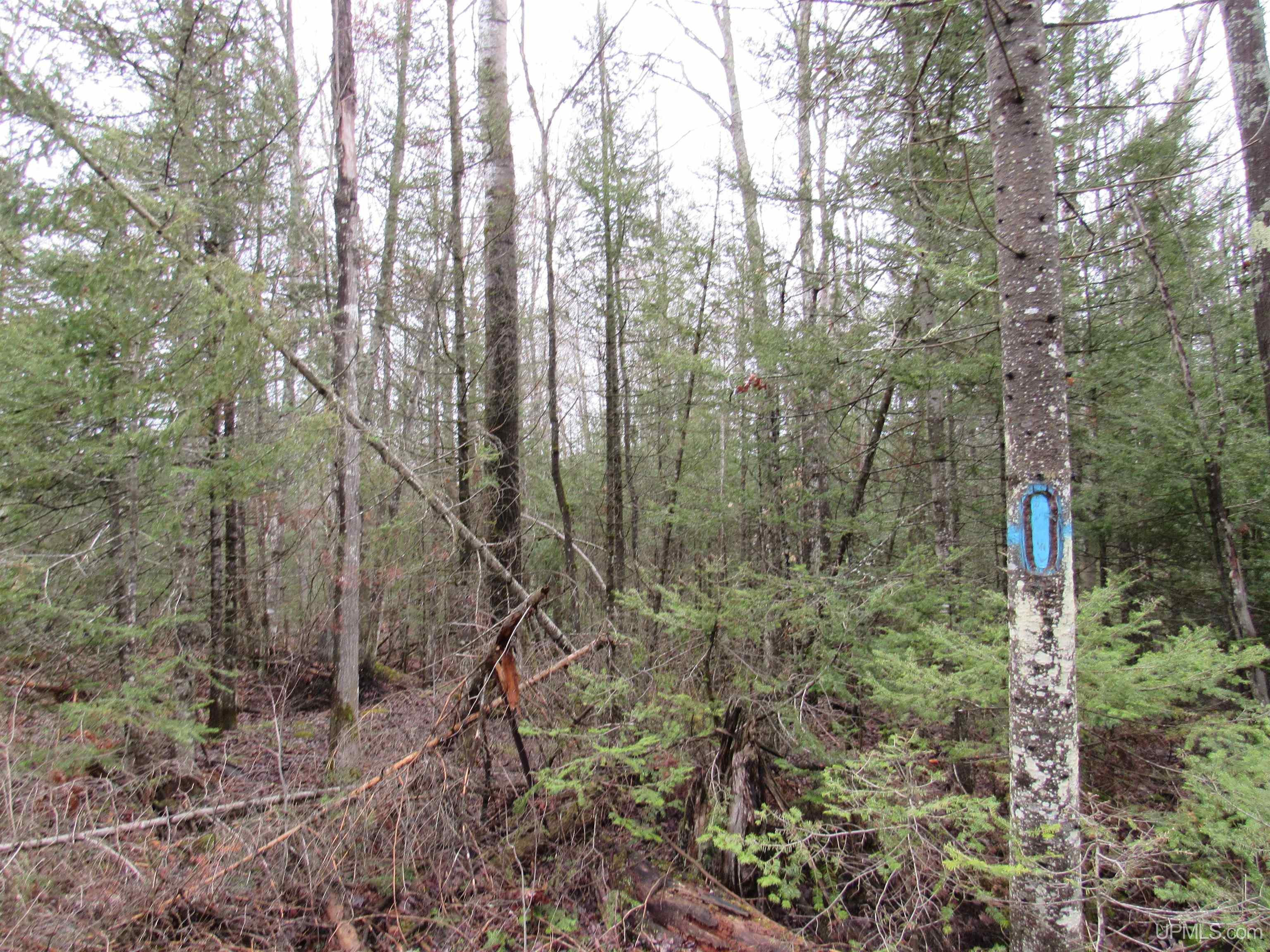 main property photo 20