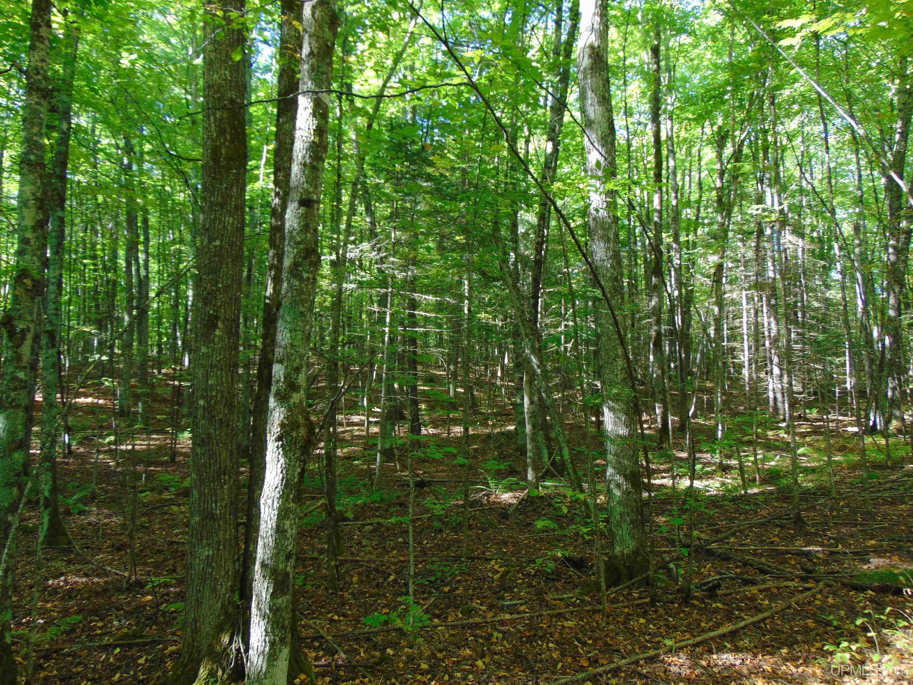 main property photo 25