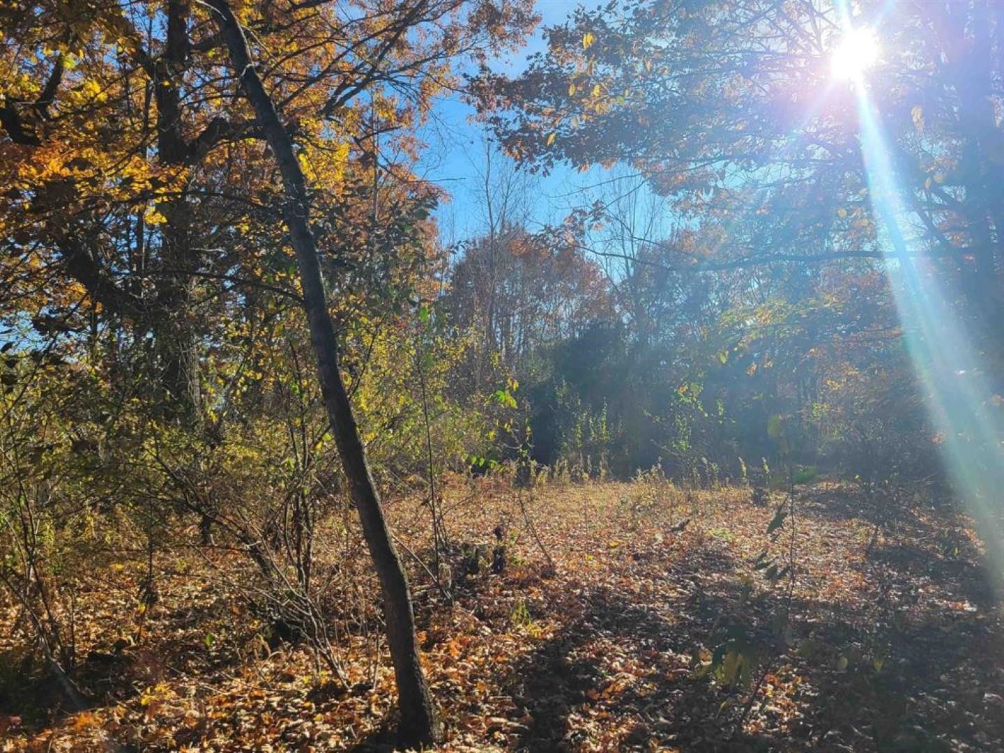 main property photo 17