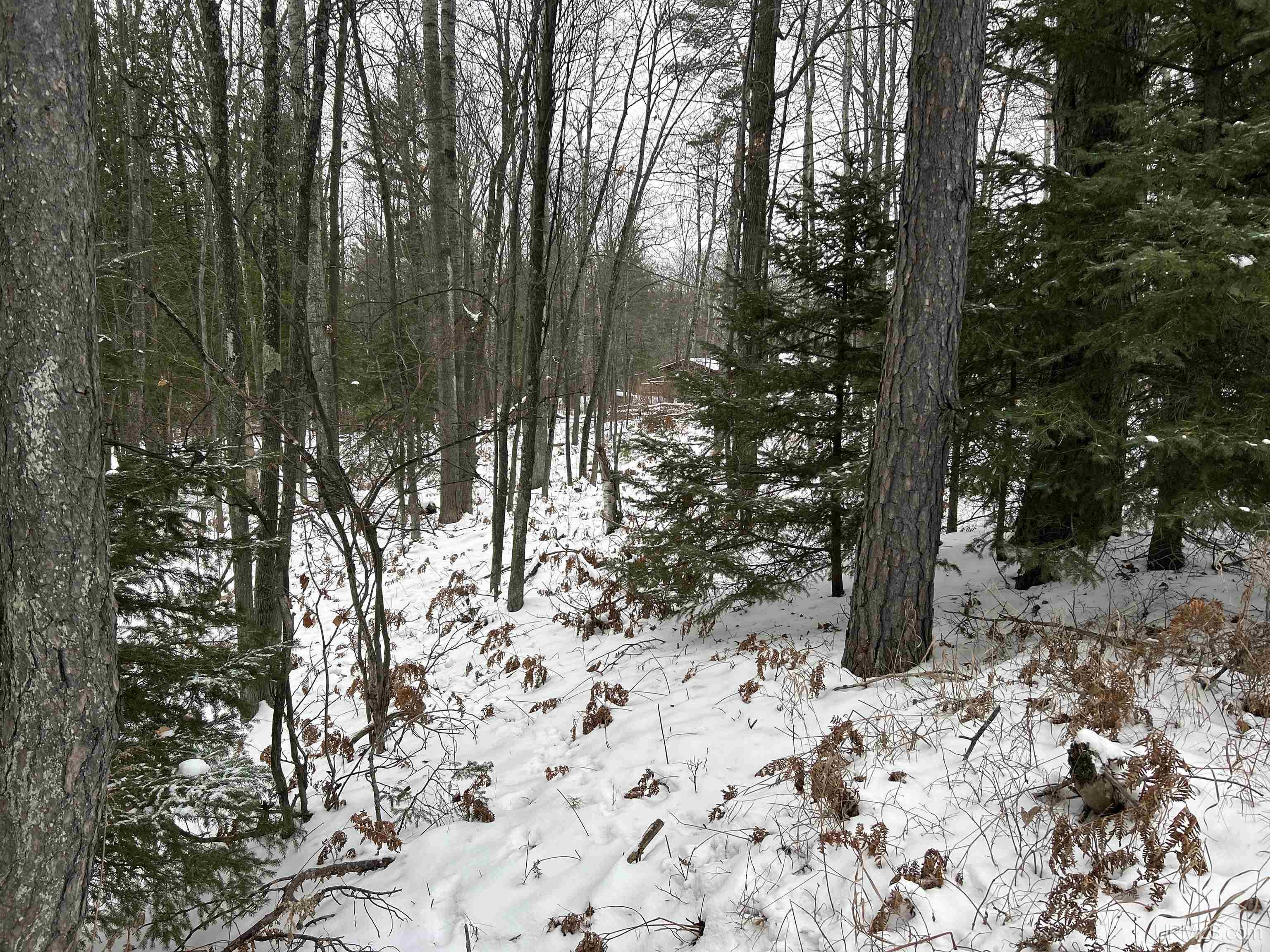 main property photo 11