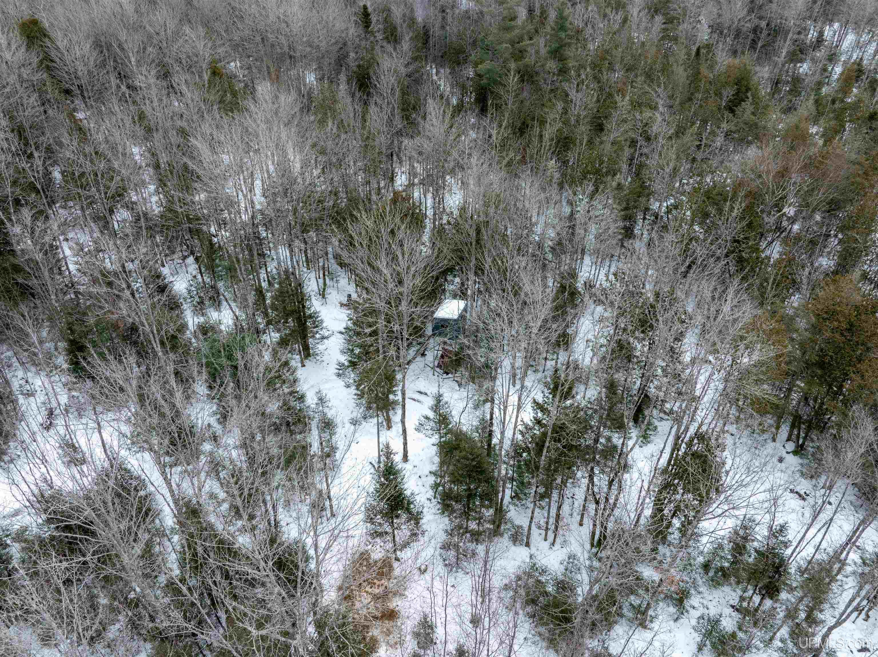 main property photo 21