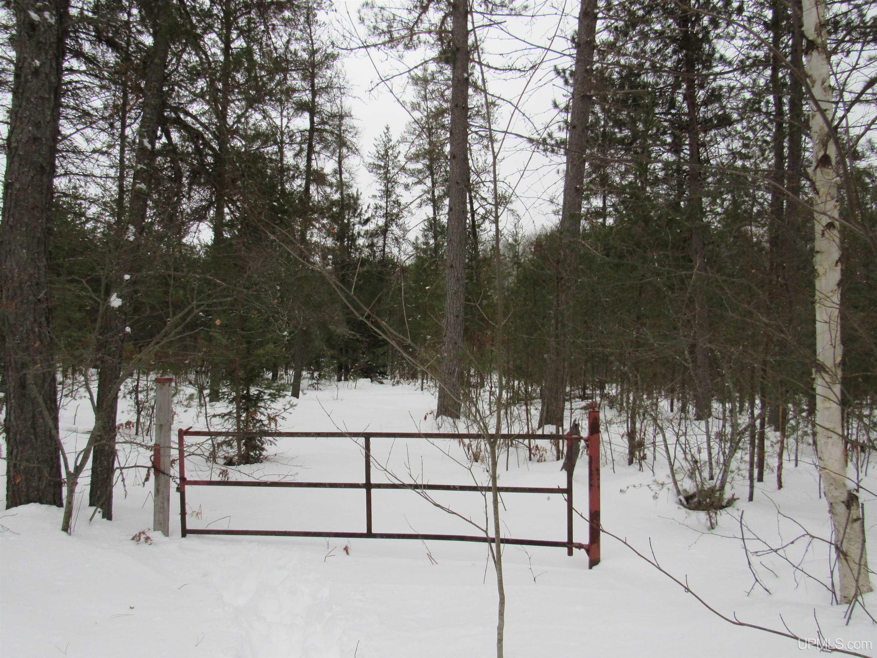 main property photo 43