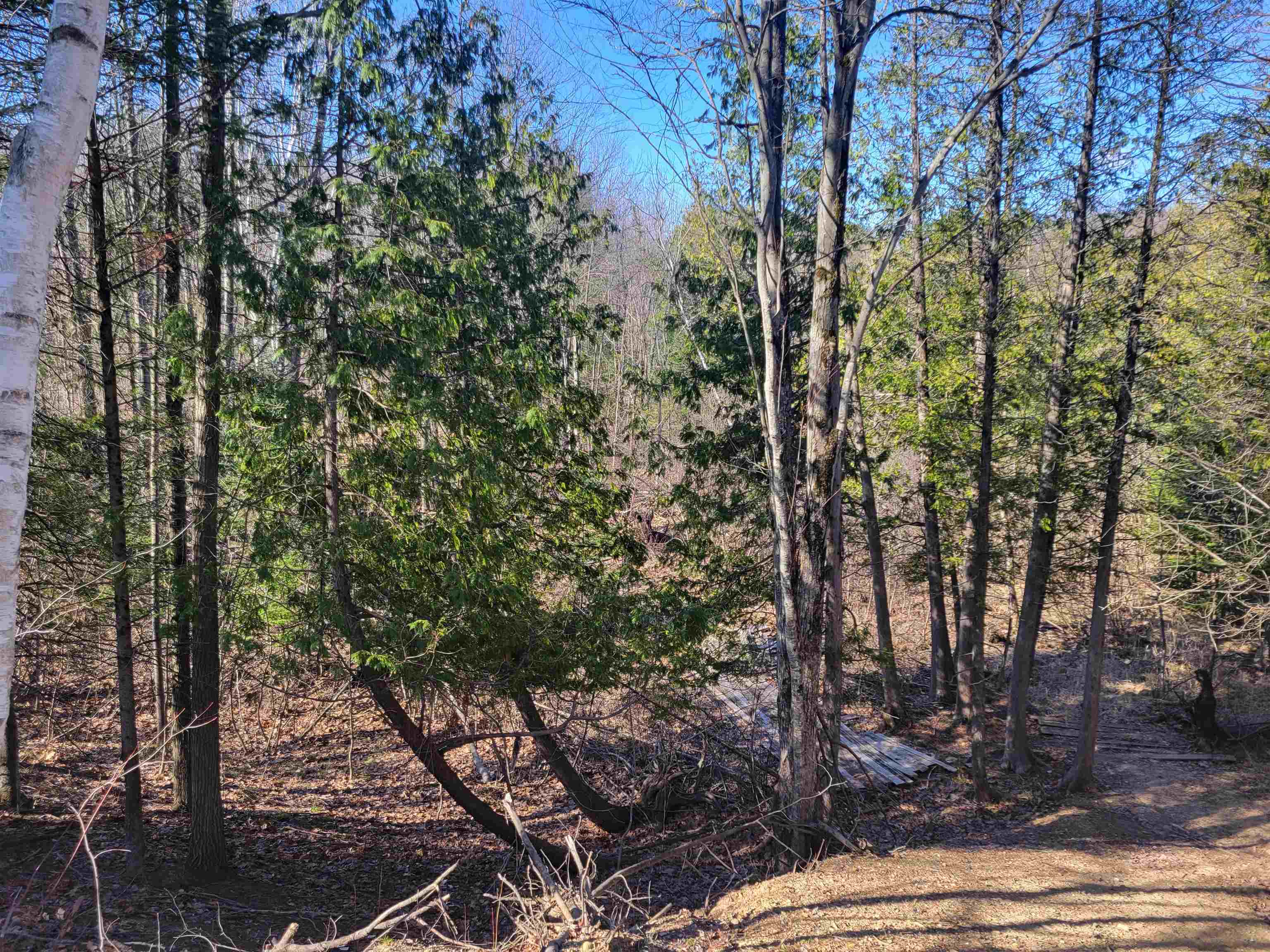 main property photo 15