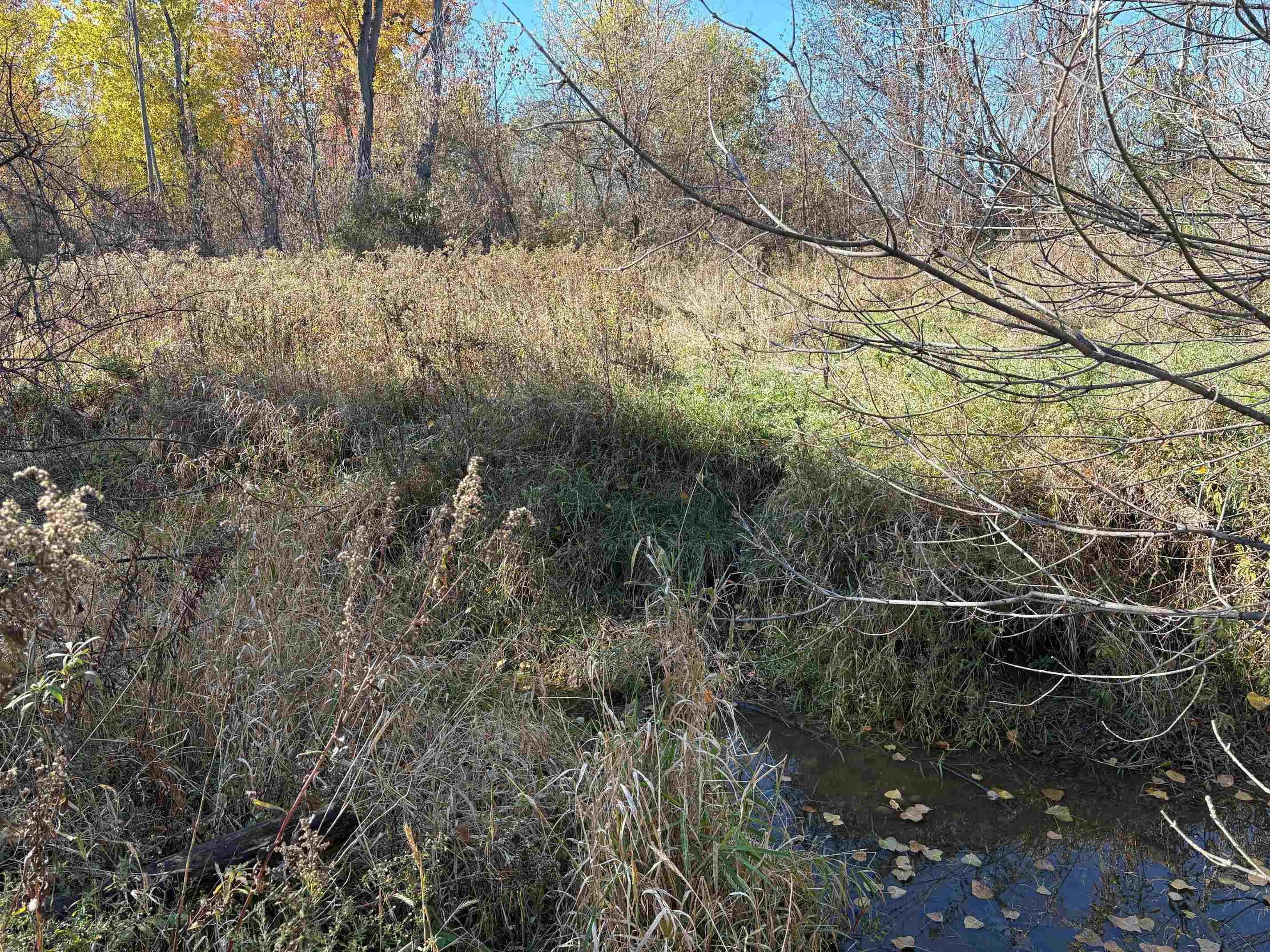 main property photo 11
