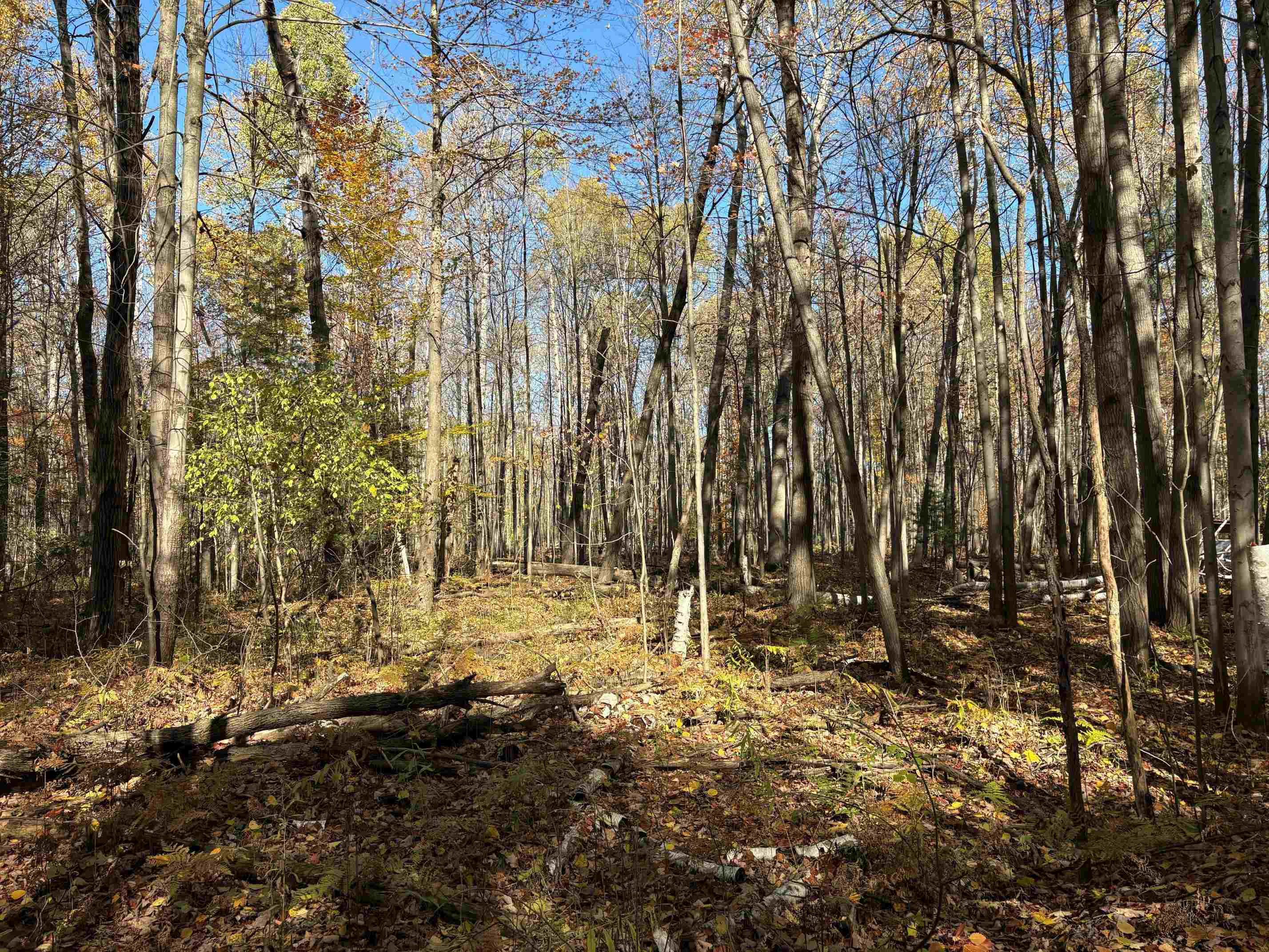 main property photo 8