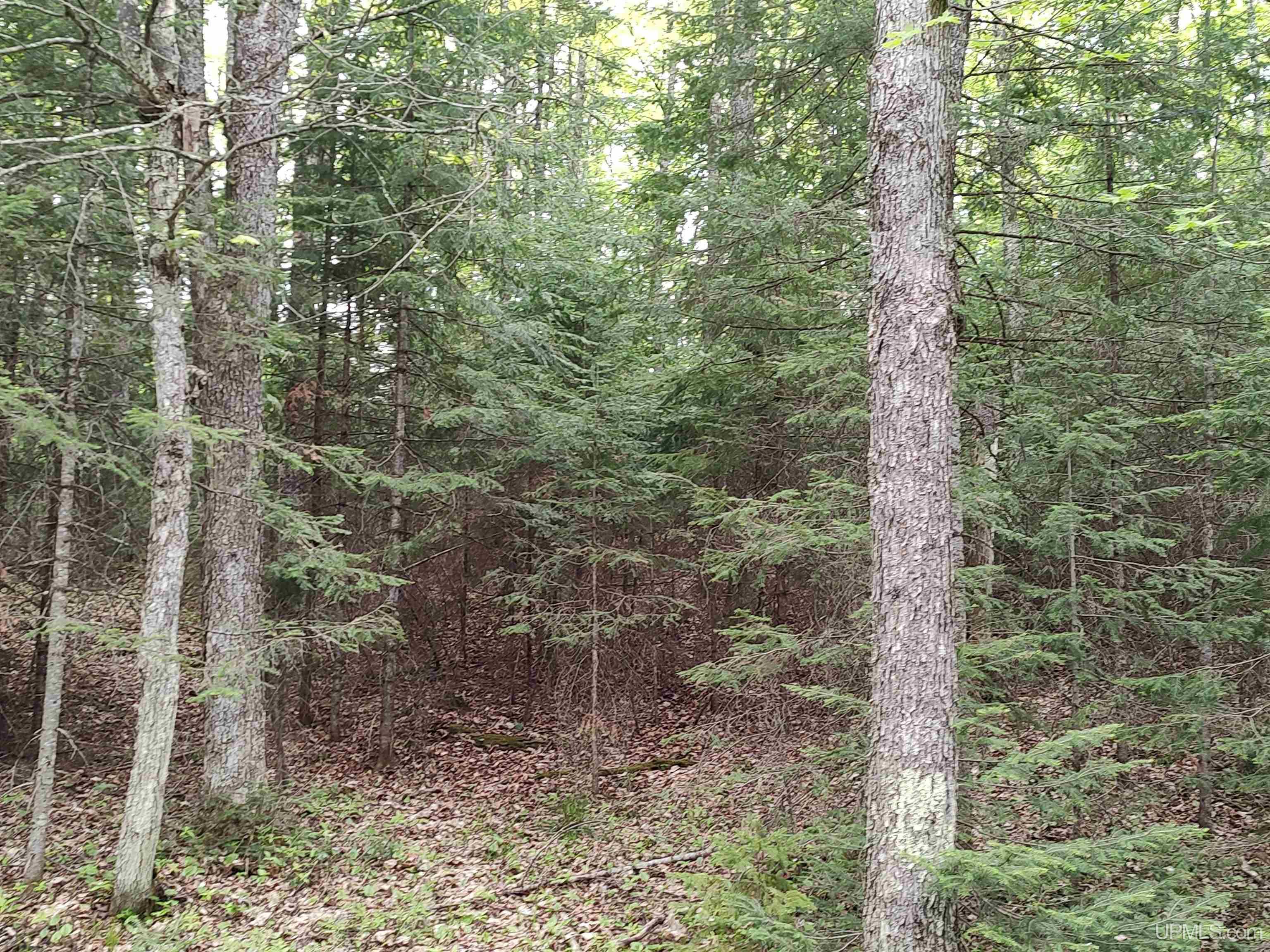 main property photo 20