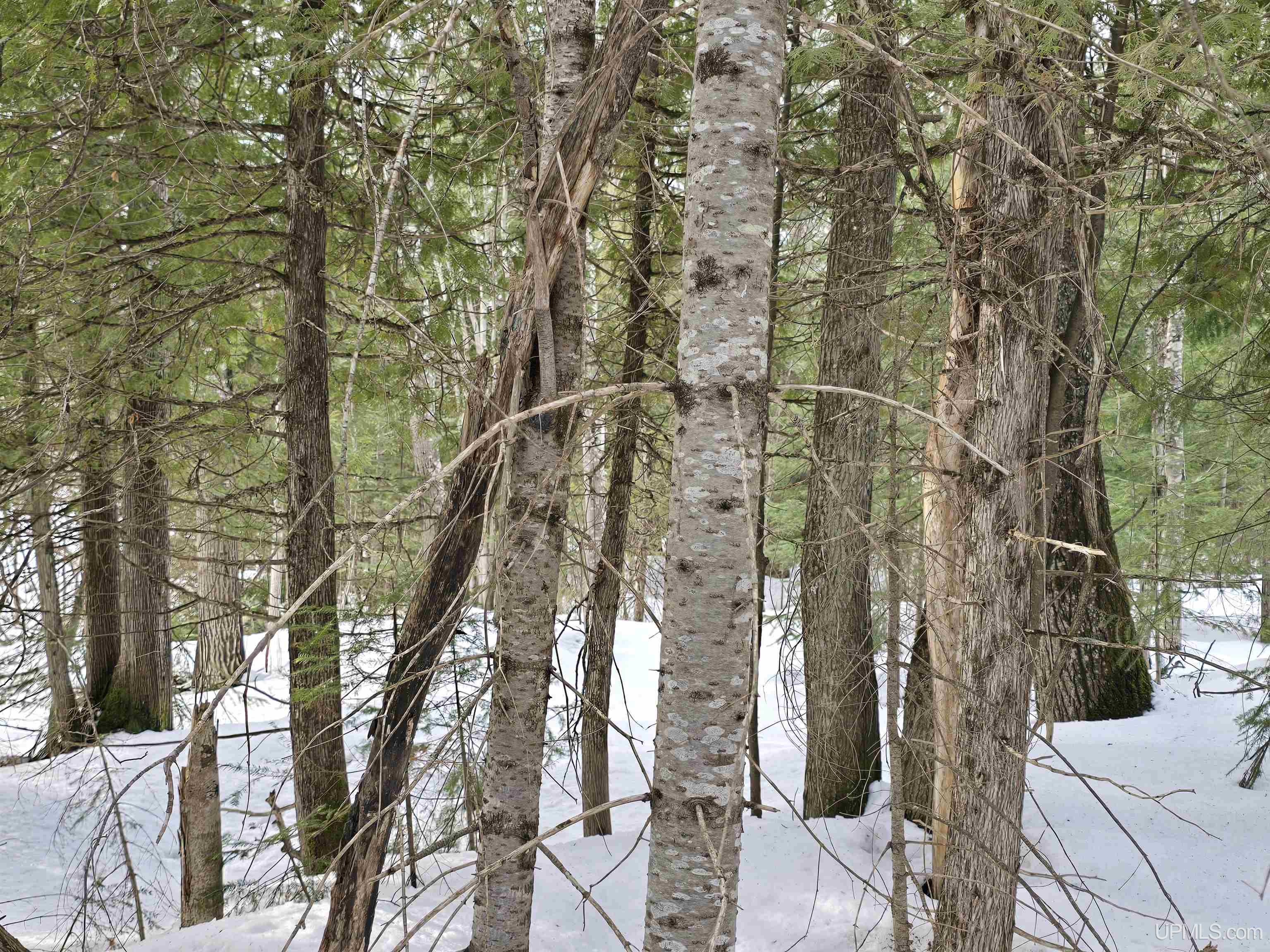 main property photo 16