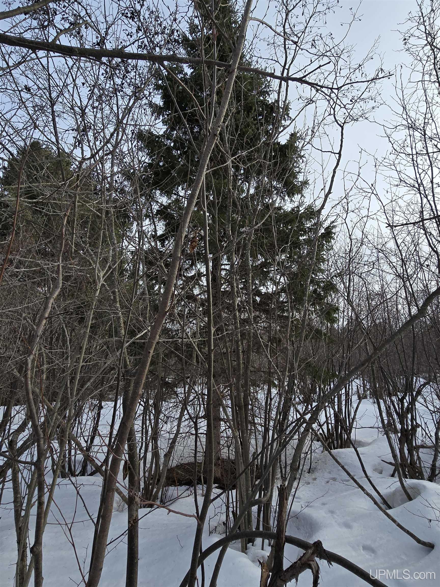 main property photo 22