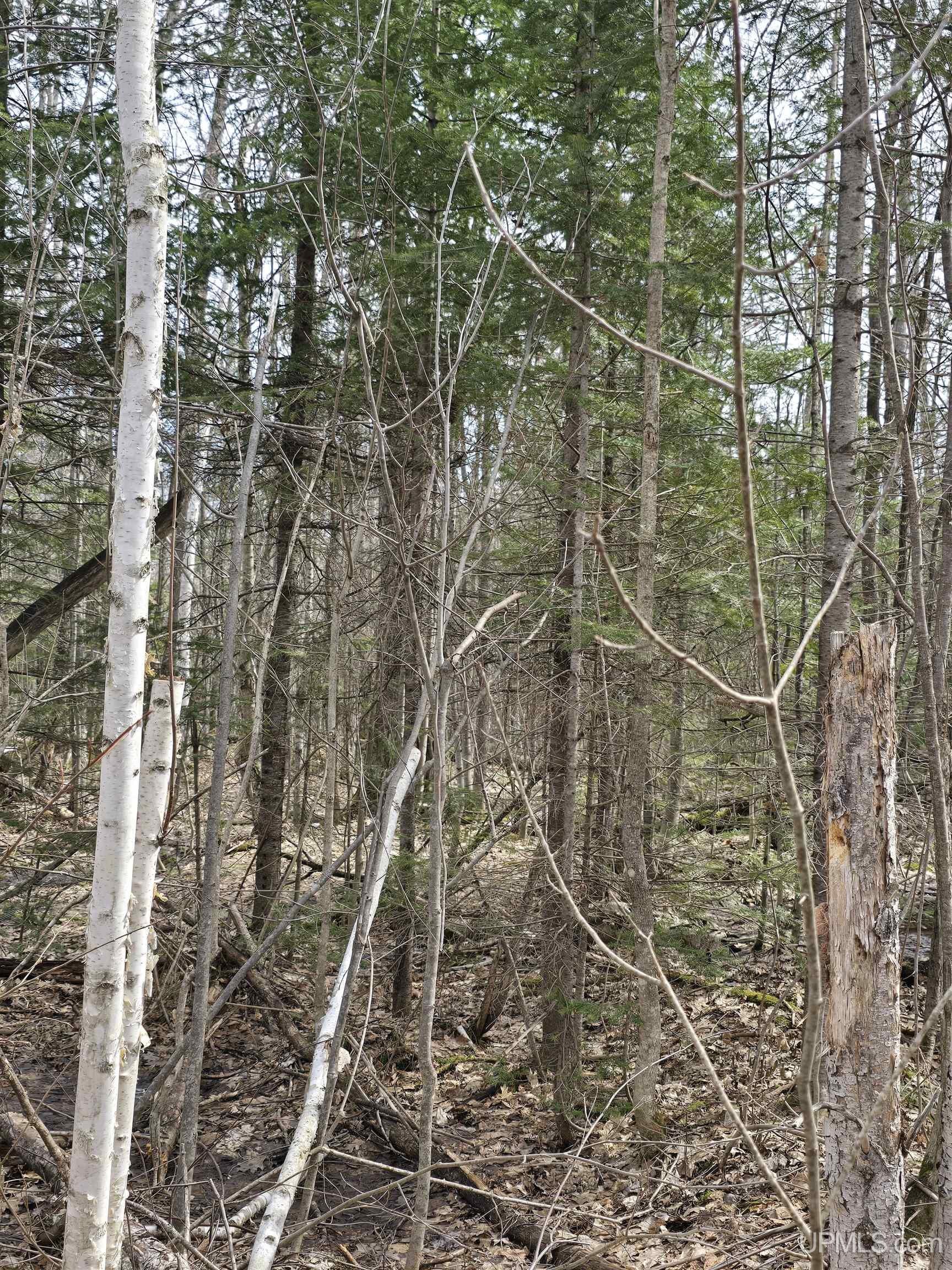 main property photo 35