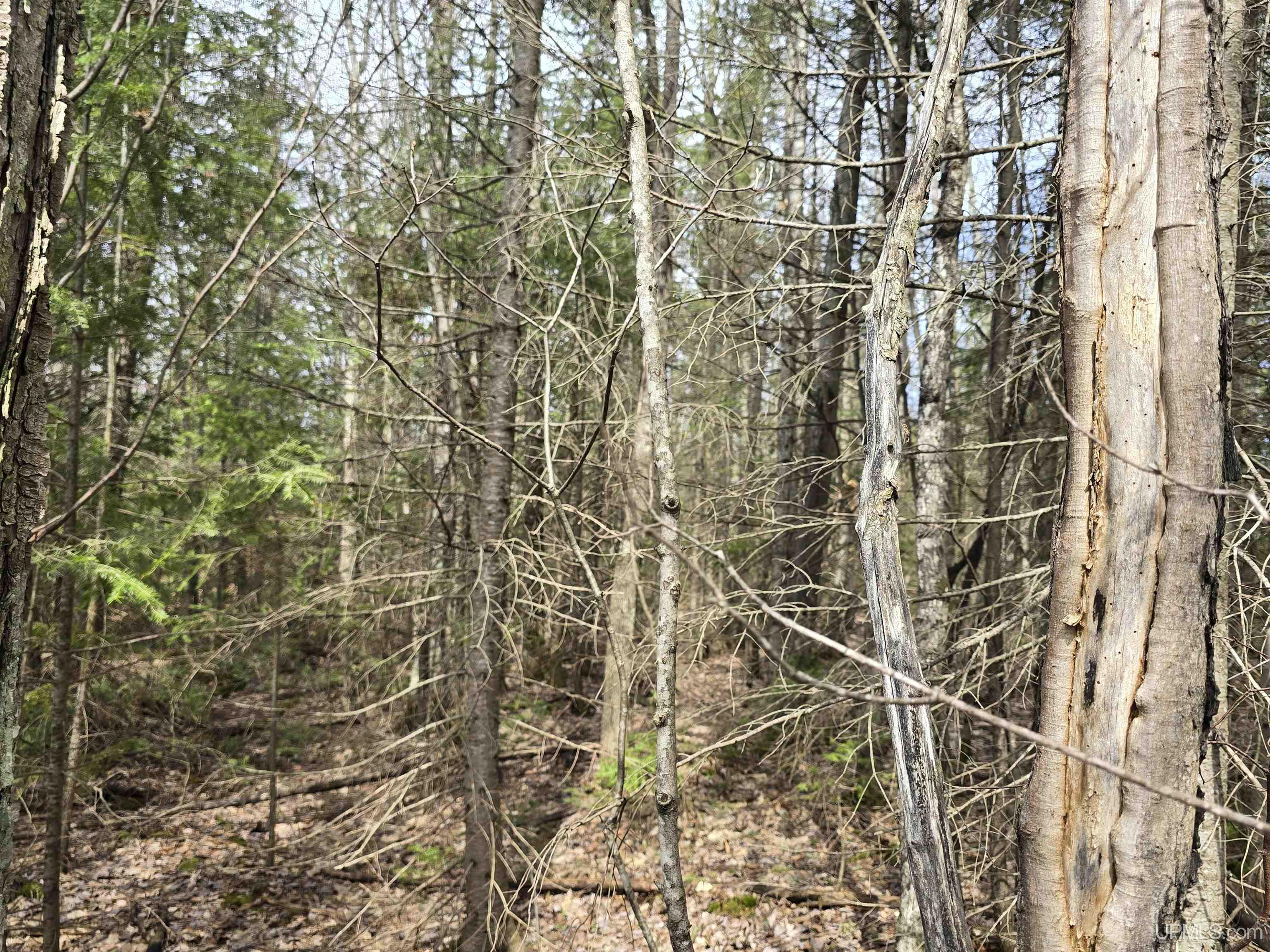 main property photo 39
