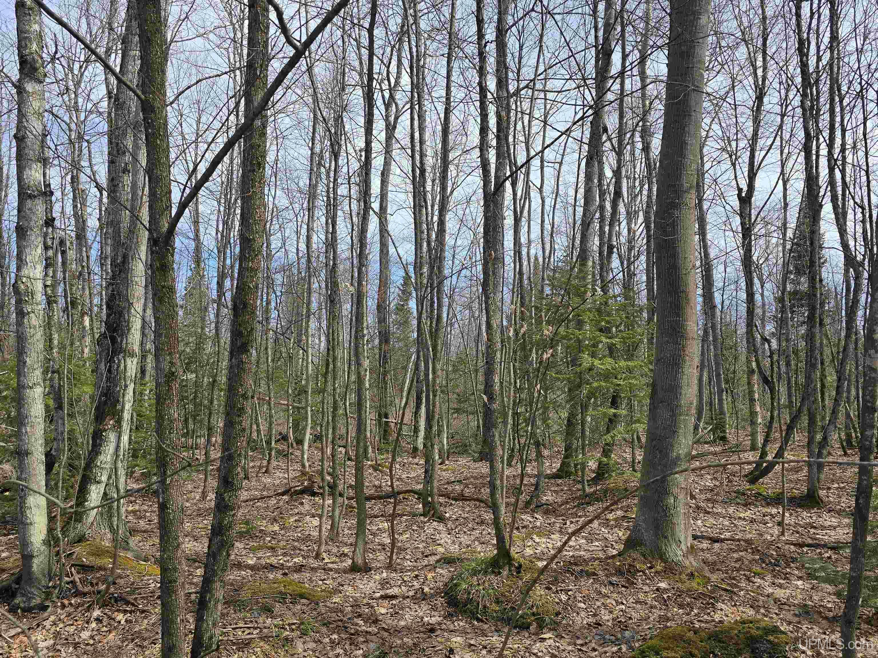 main property photo 40