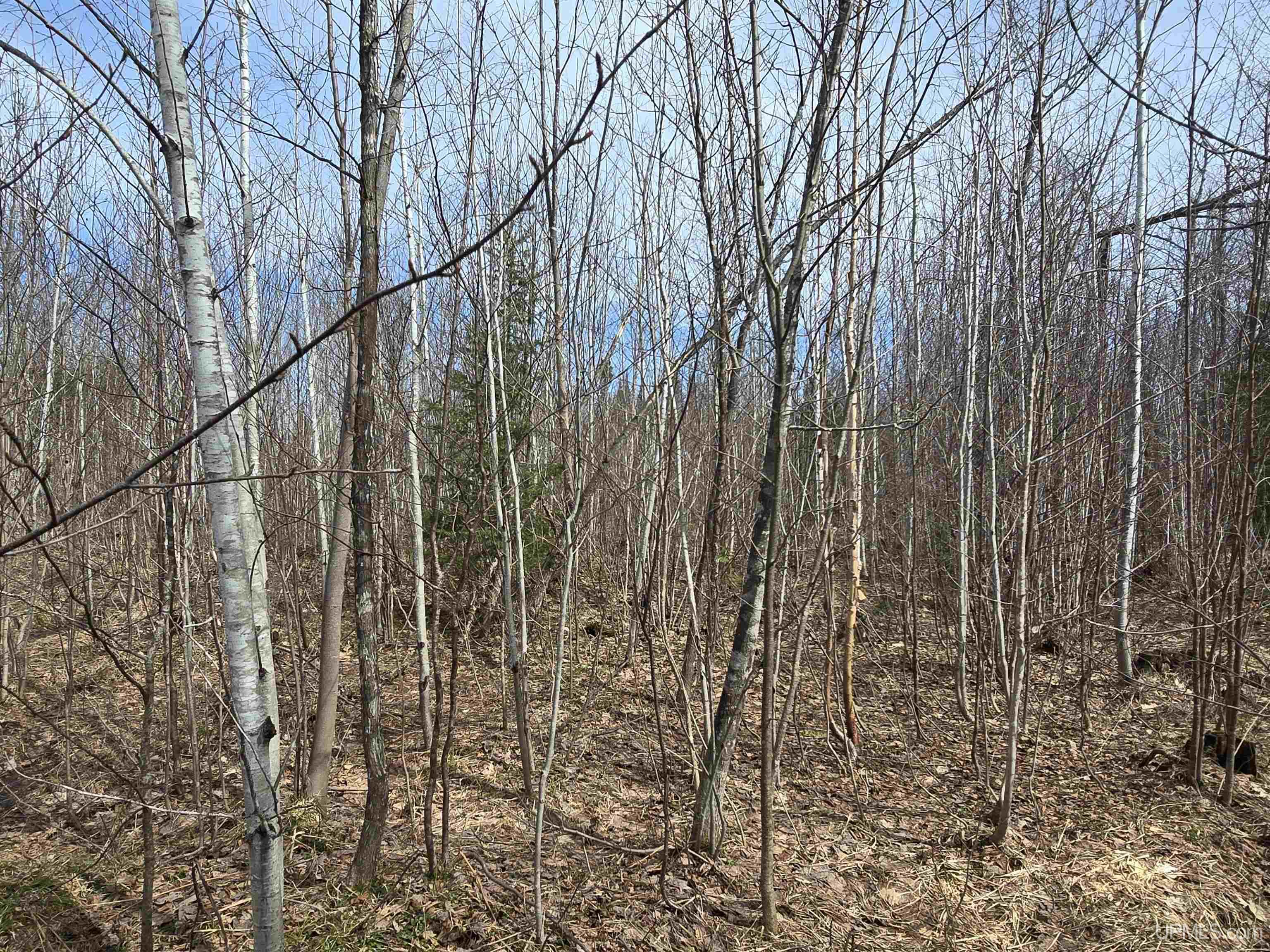 main property photo 41