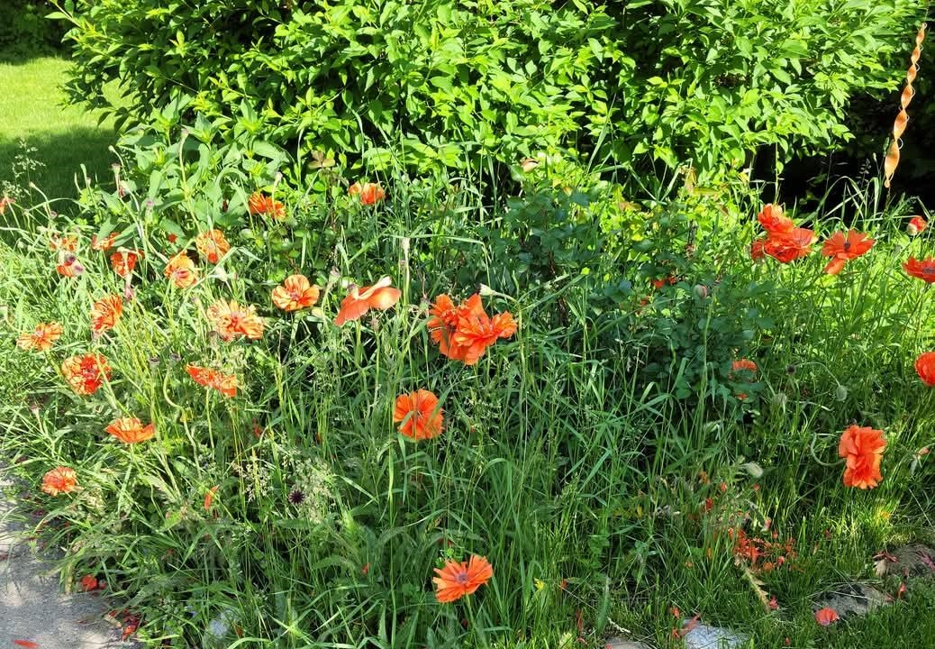 property viewer photo 38