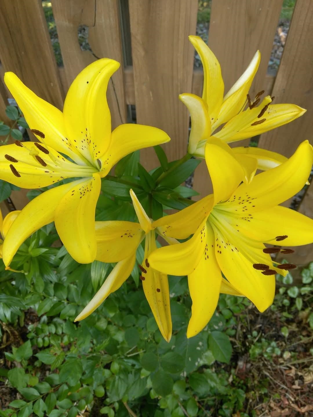 property viewer photo 40