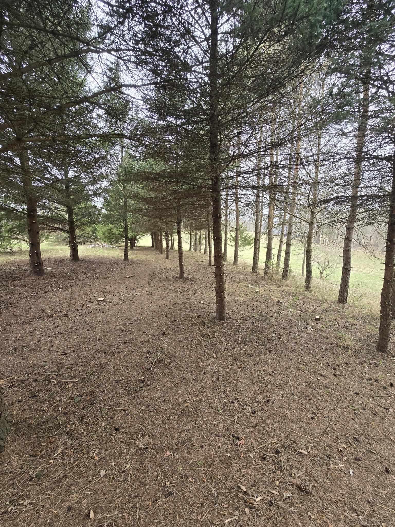 property viewer photo 3