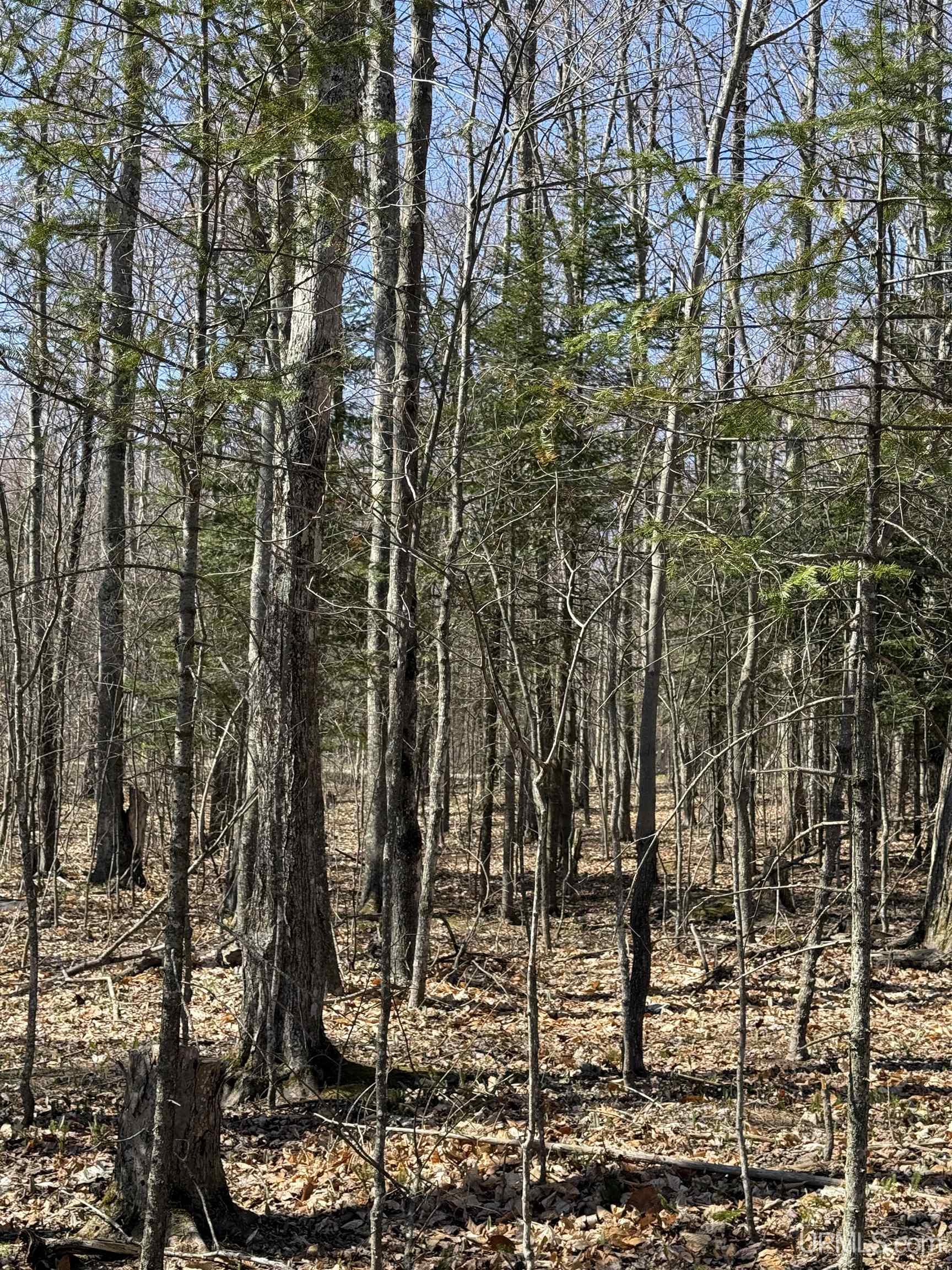 main property photo 18