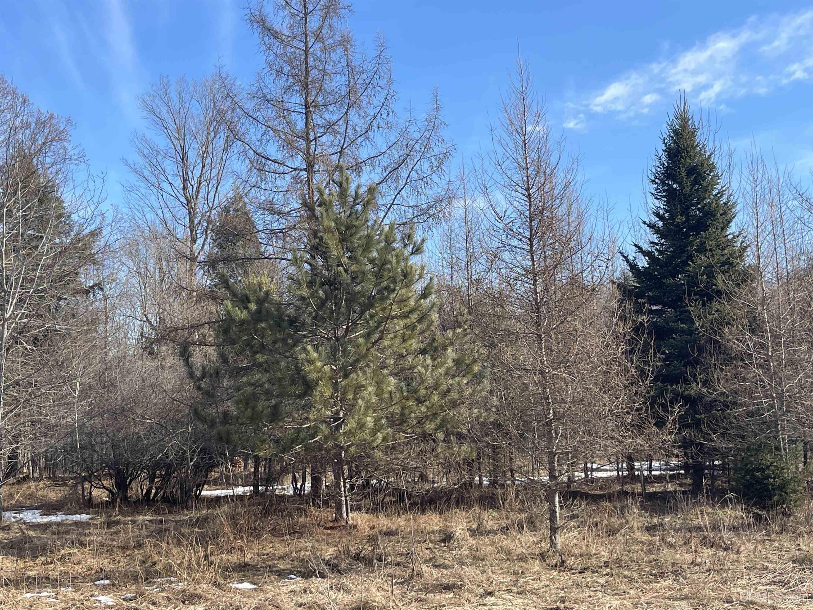 main property photo 68