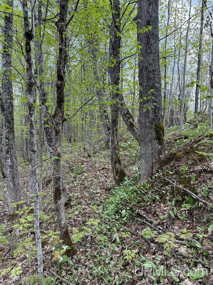 main property photo 11