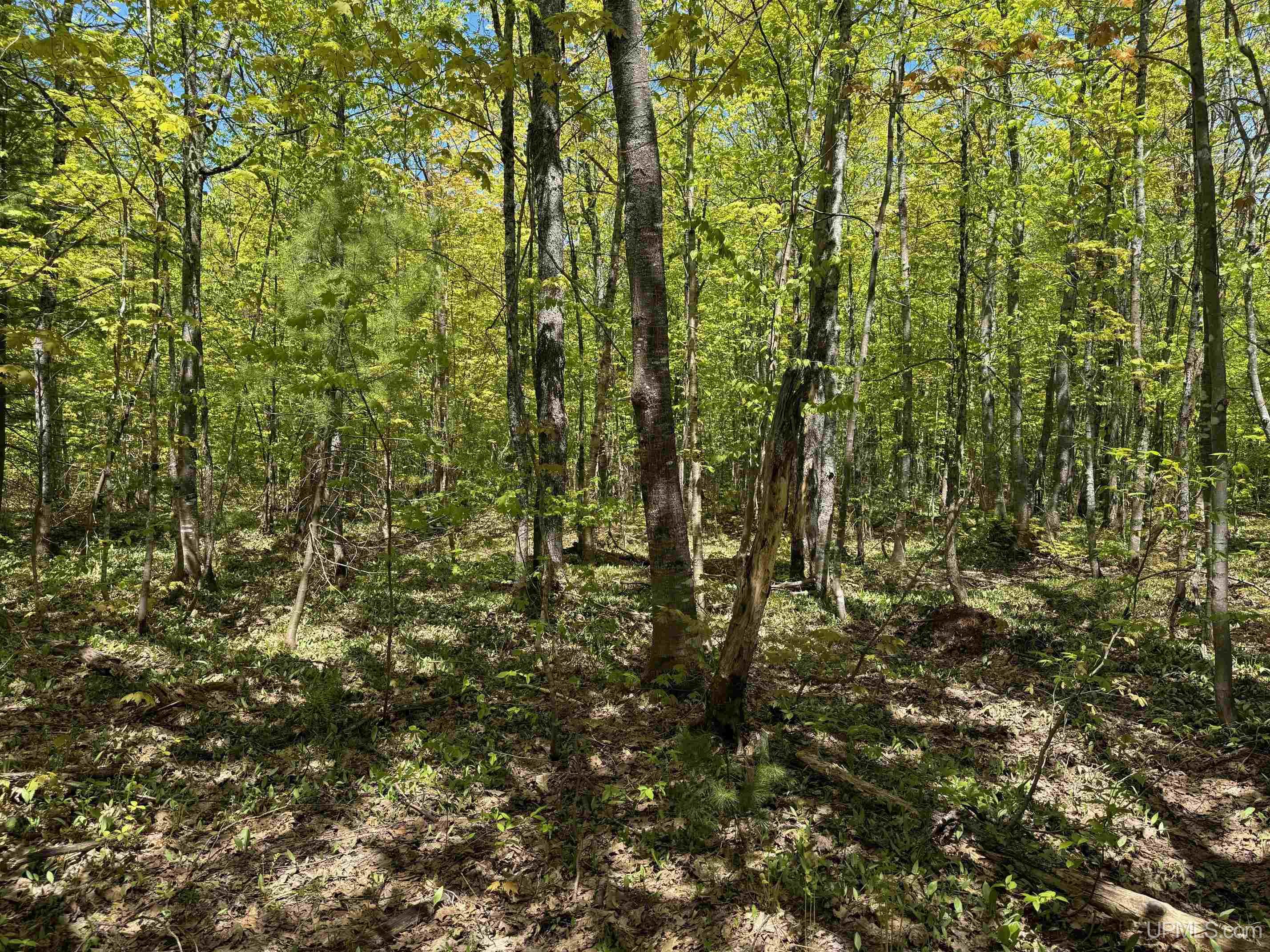 property viewer photo 11