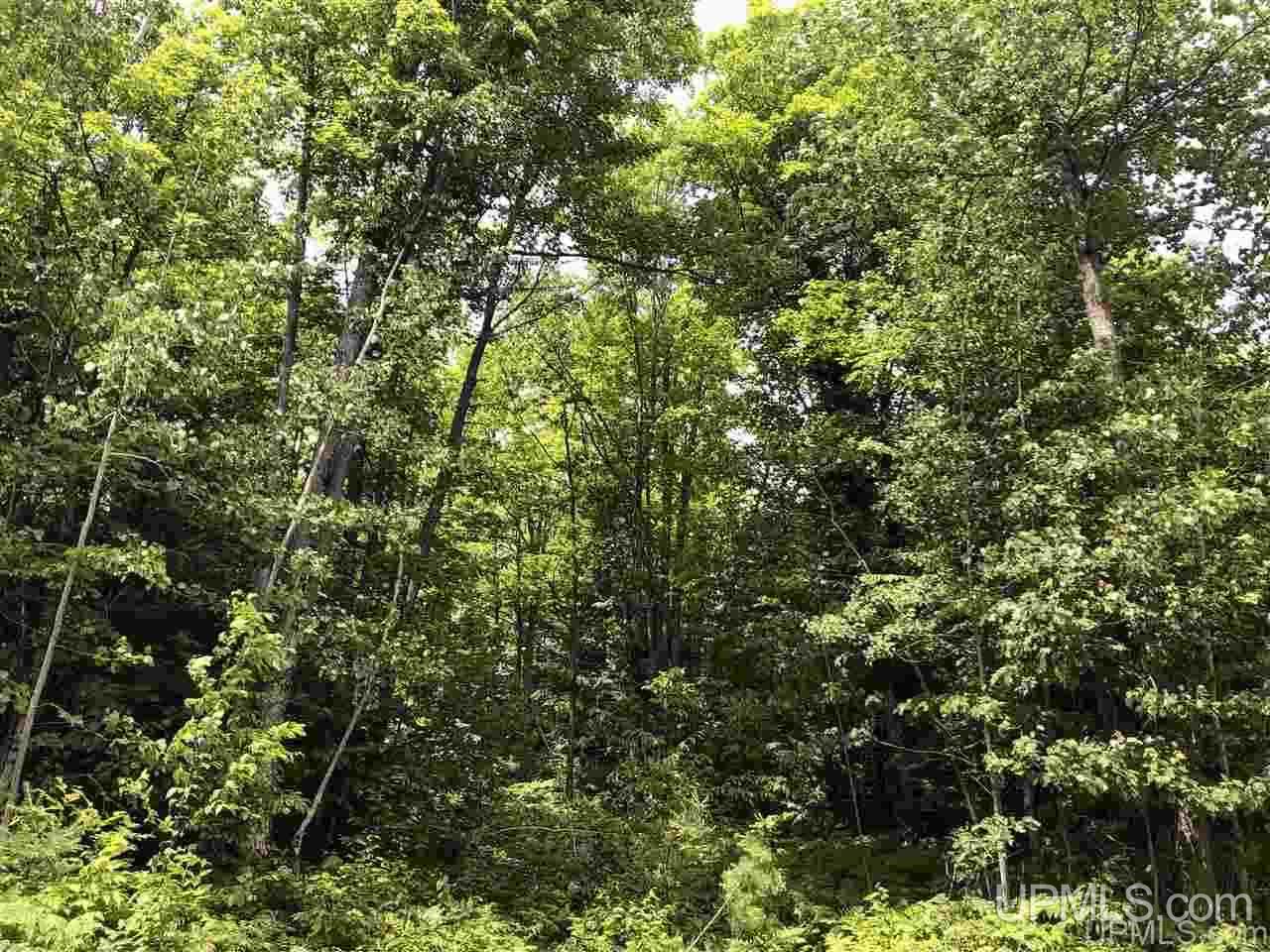 main property photo 0