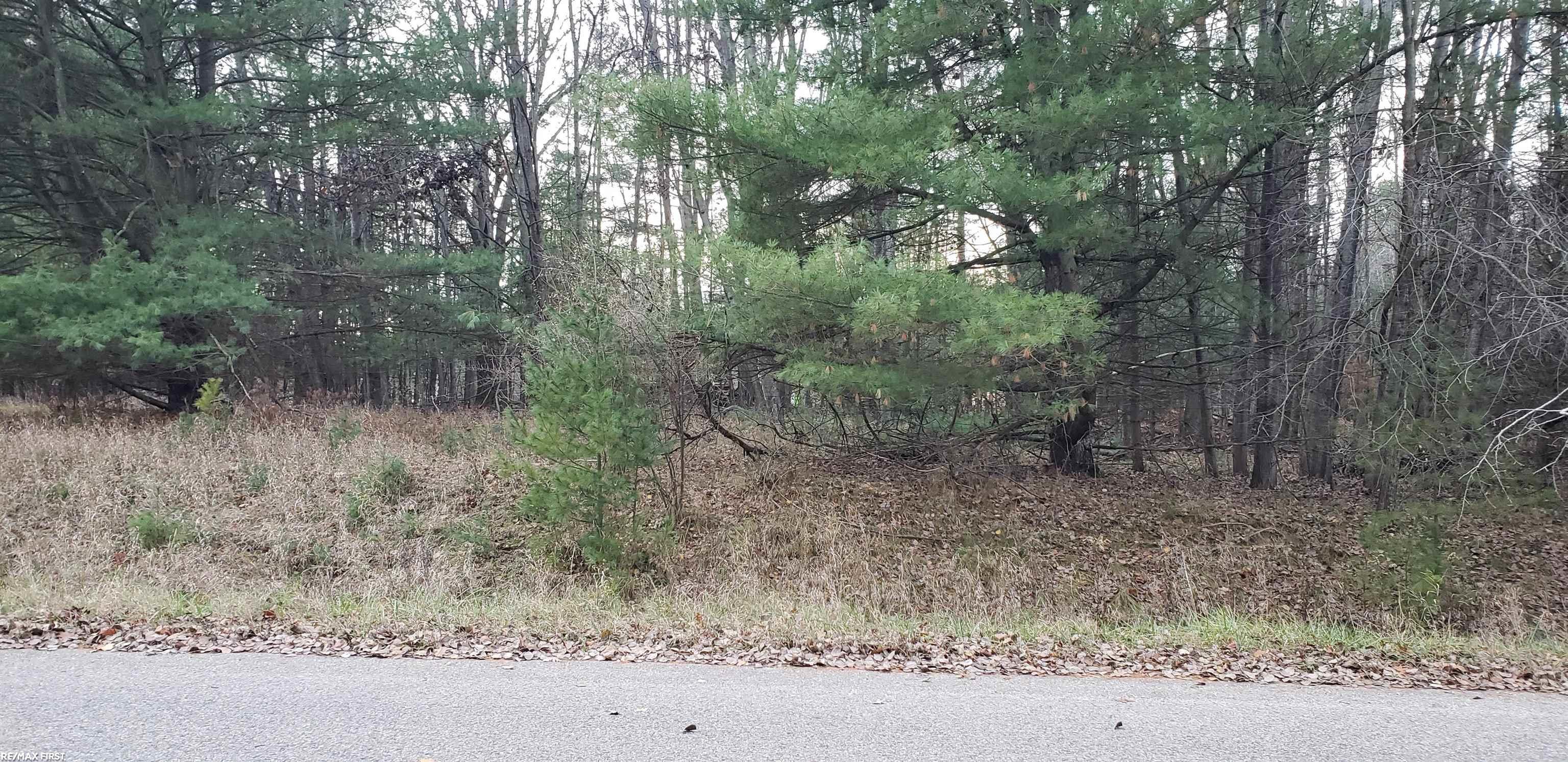 main property photo 0