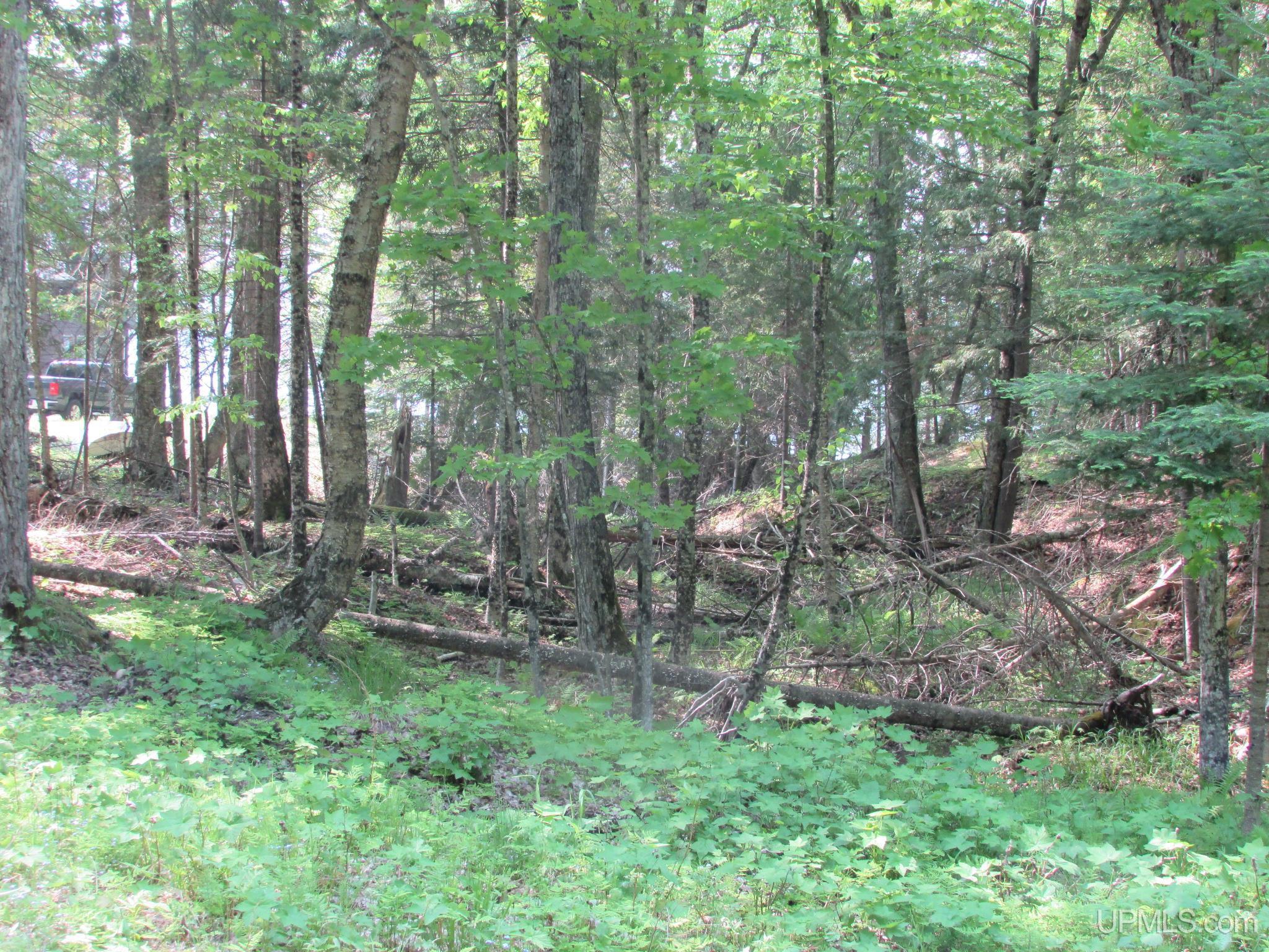 main property photo 72