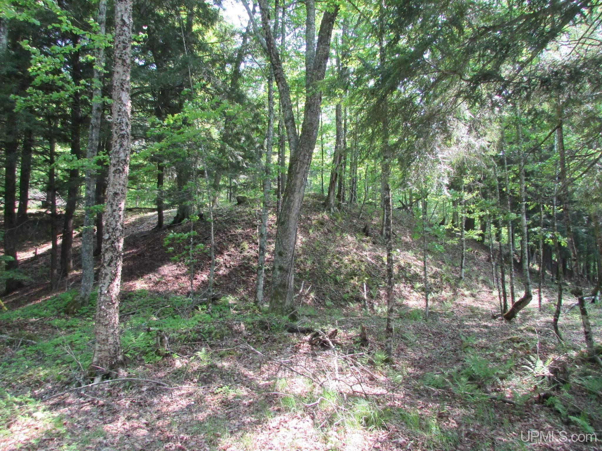 main property photo 74