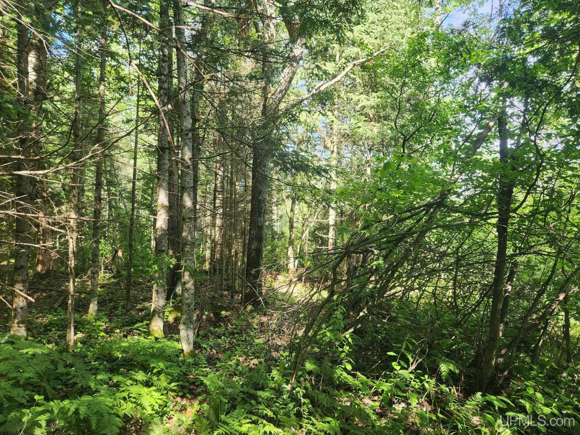 main property photo 12