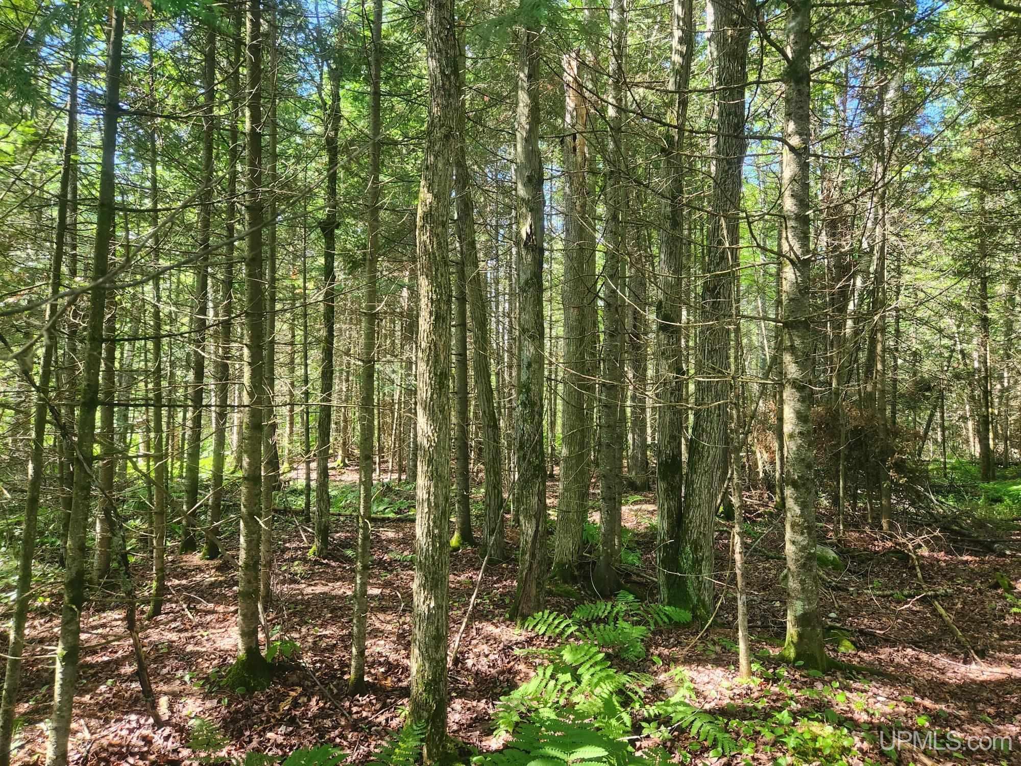 main property photo 13