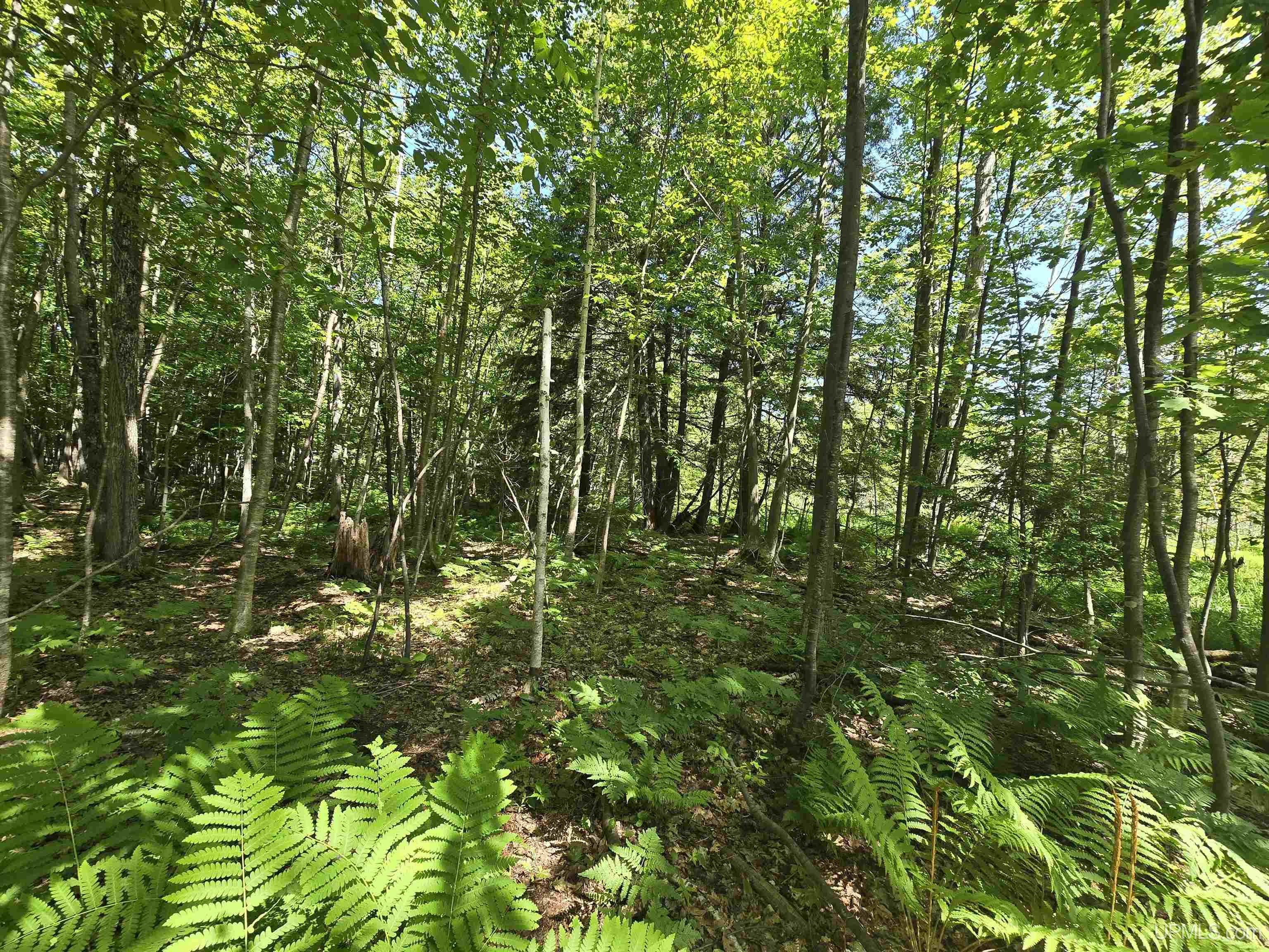 main property photo 10