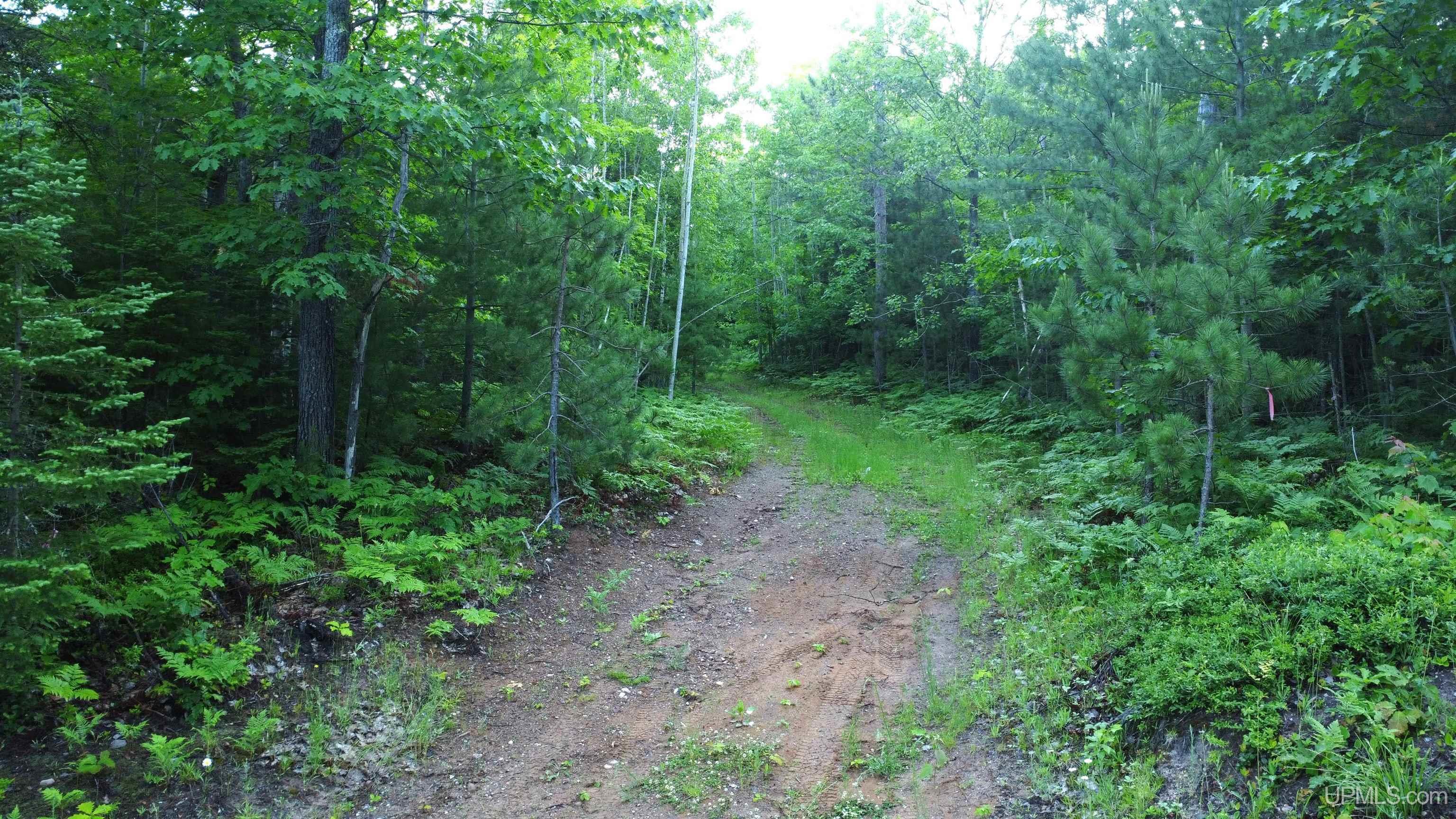 main property photo 0