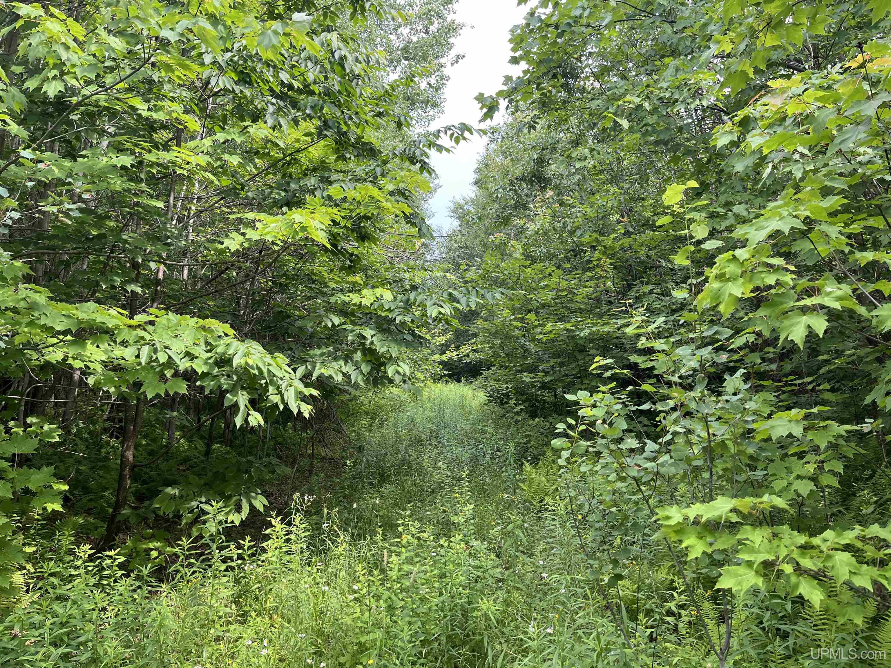 main property photo 0
