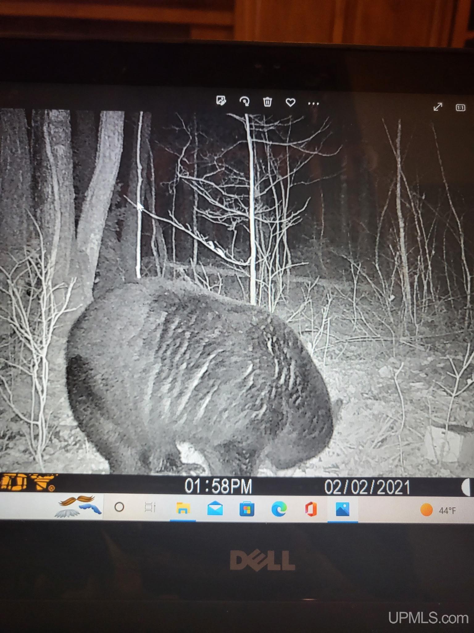 main property photo 51