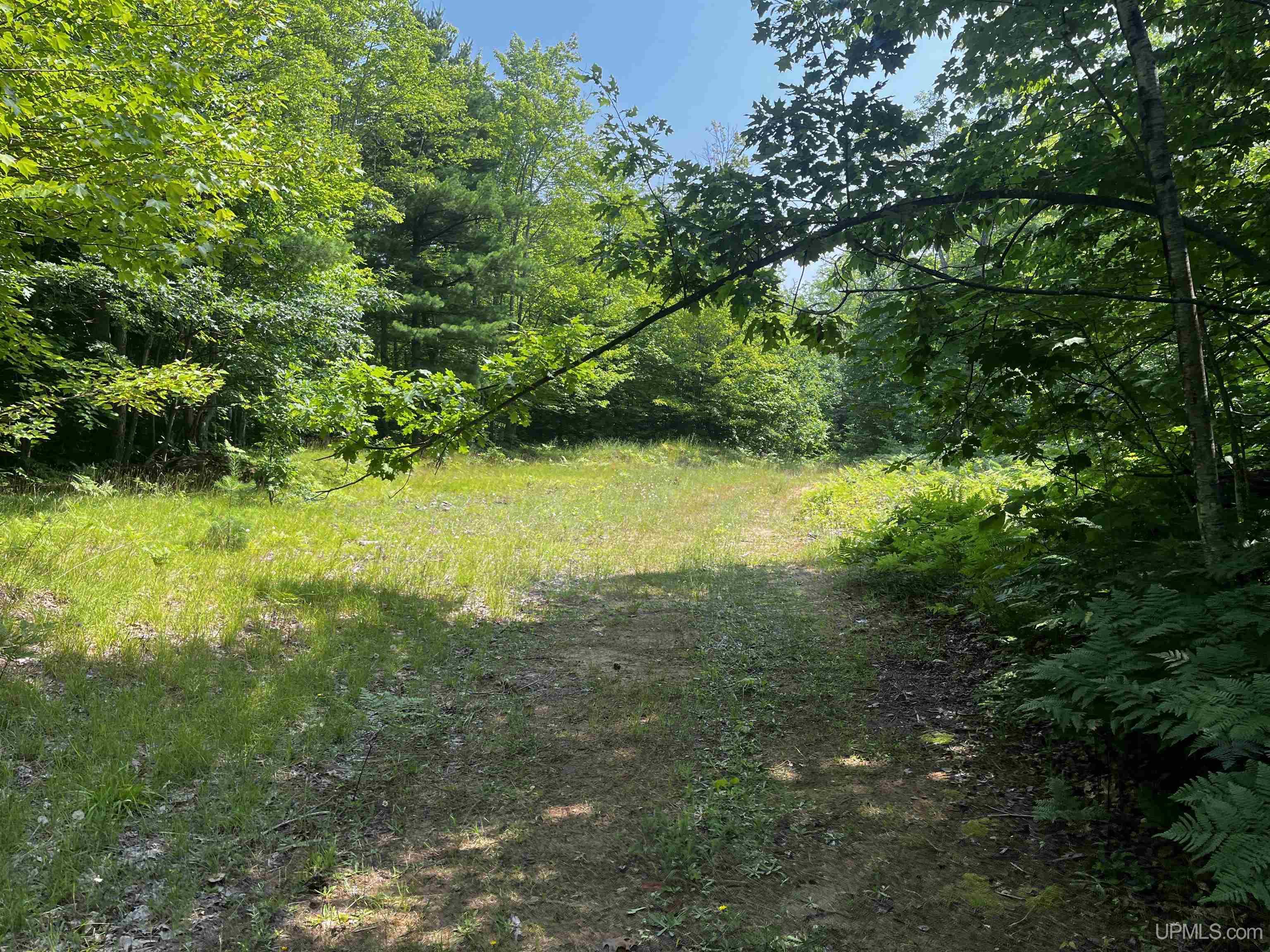 main property photo 14