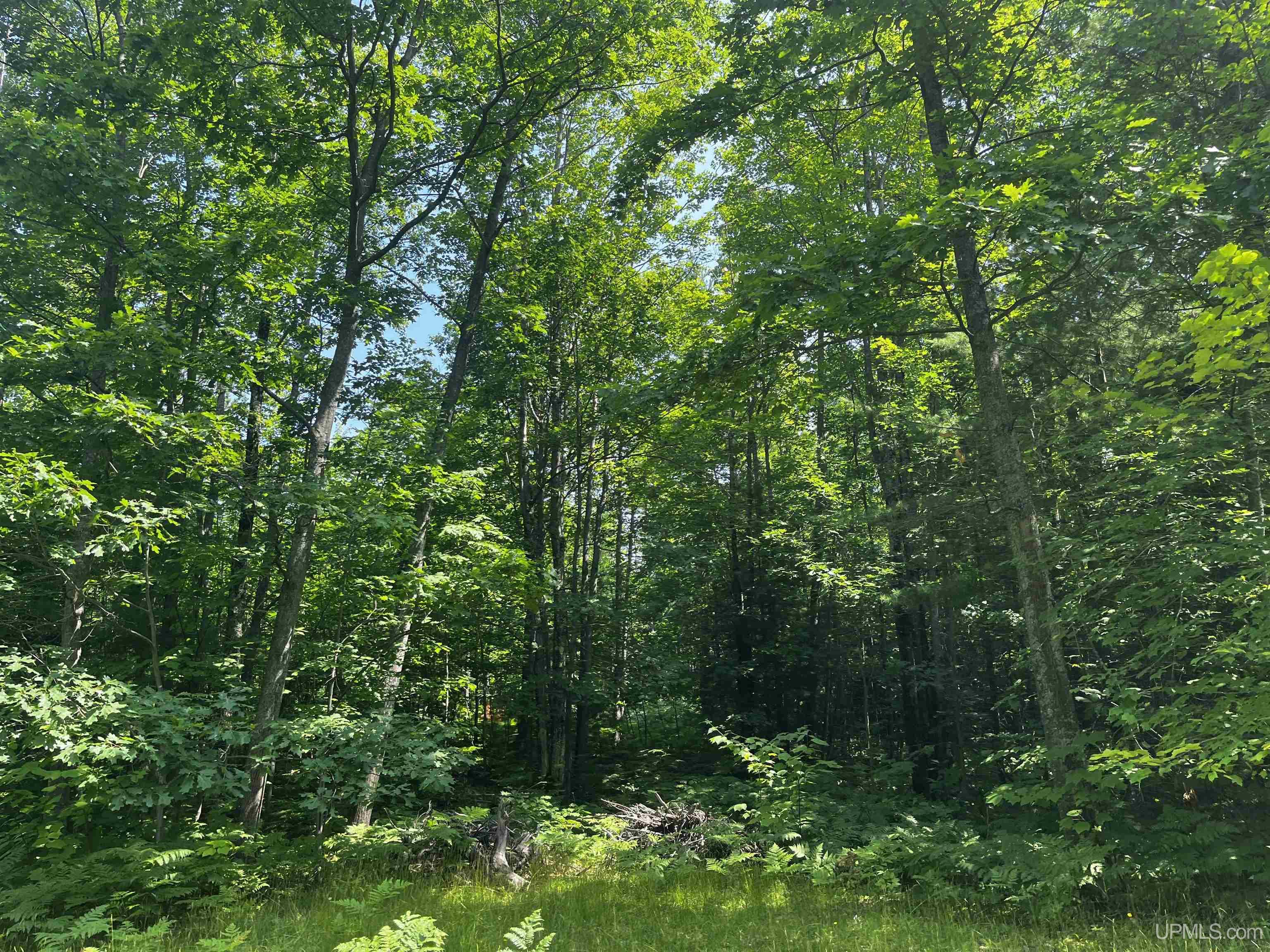 main property photo 22