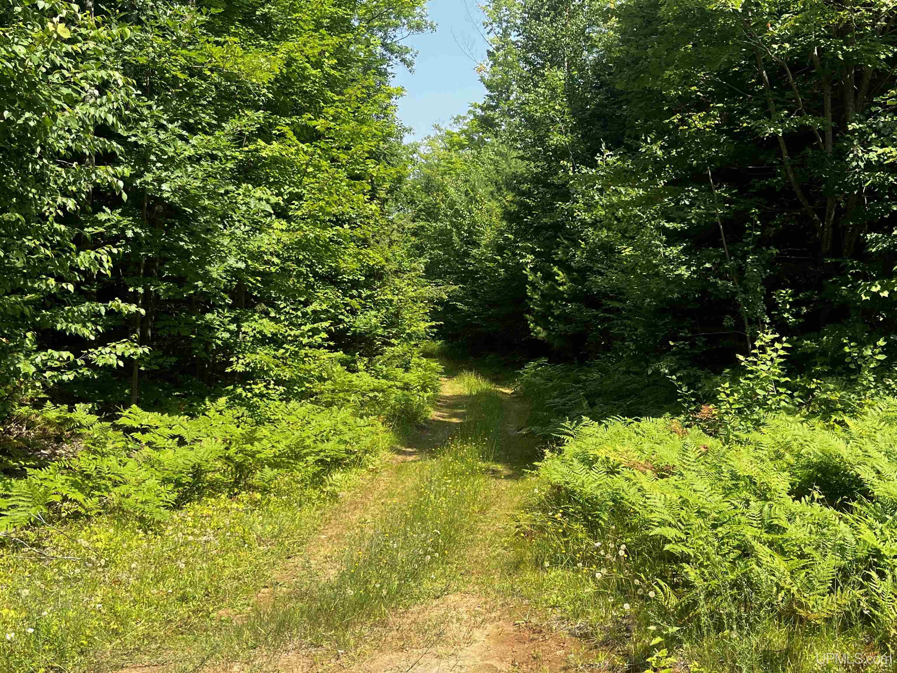 main property photo 31